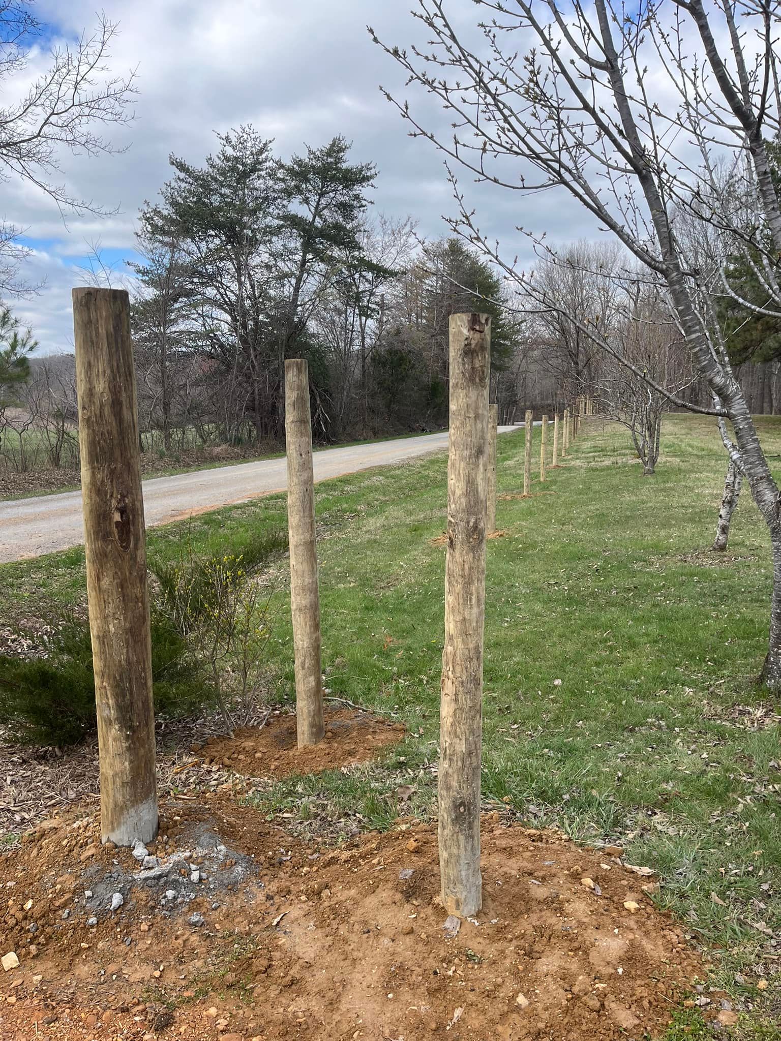 A row of wooden posts in a grassy field next to a road.
