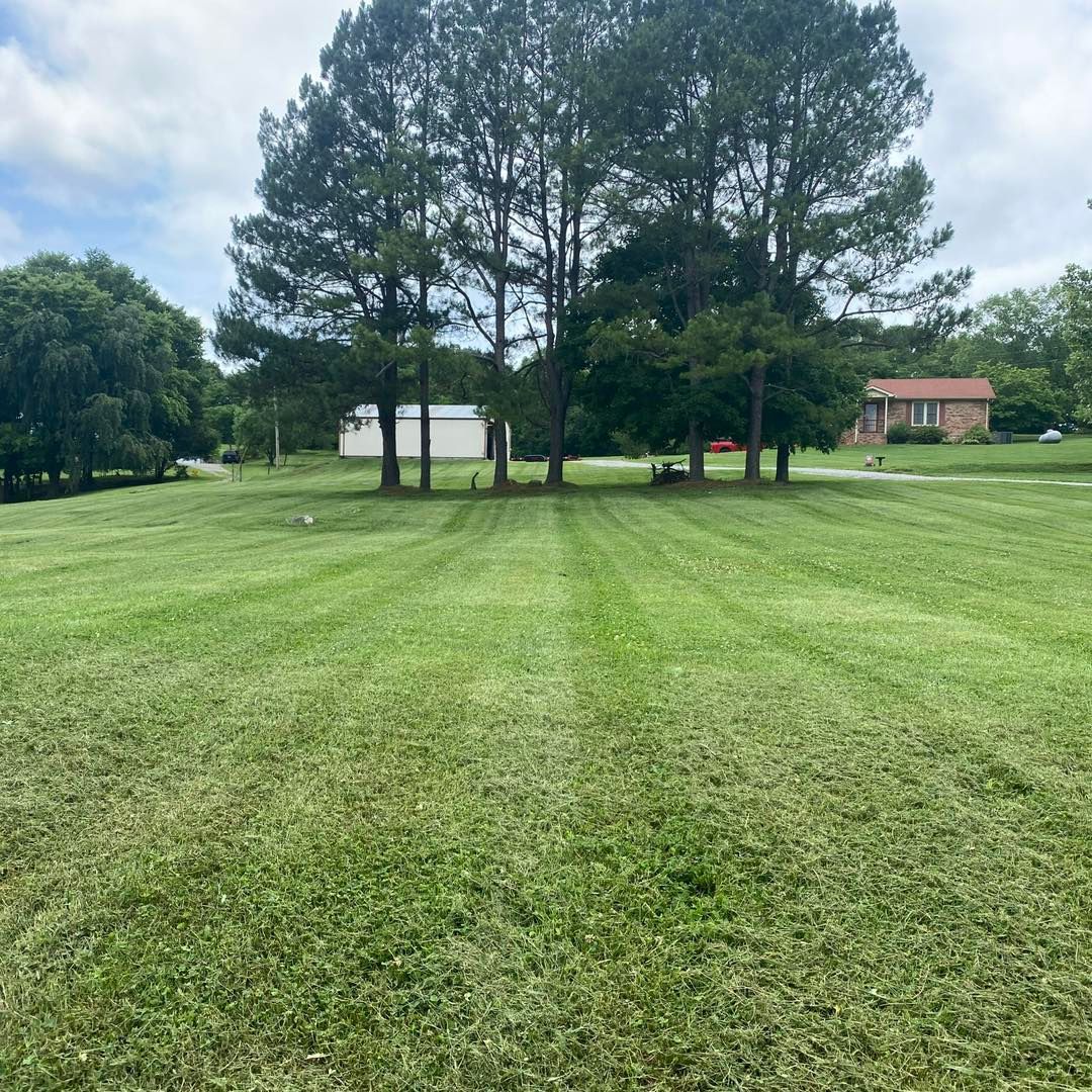 A lush green field with trees in the background and a house in the background.