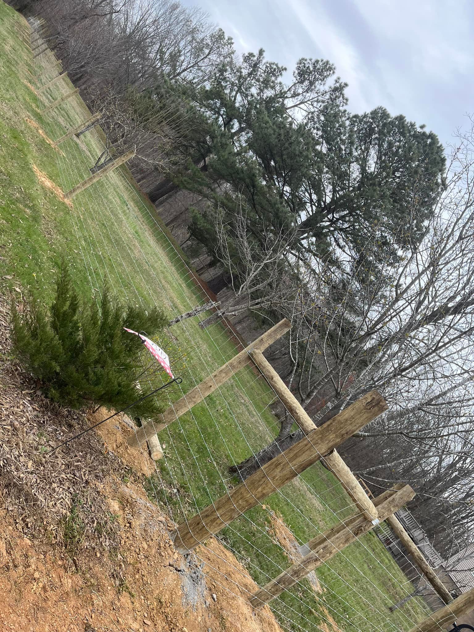 A wooden fence surrounds a grassy field with trees in the background.