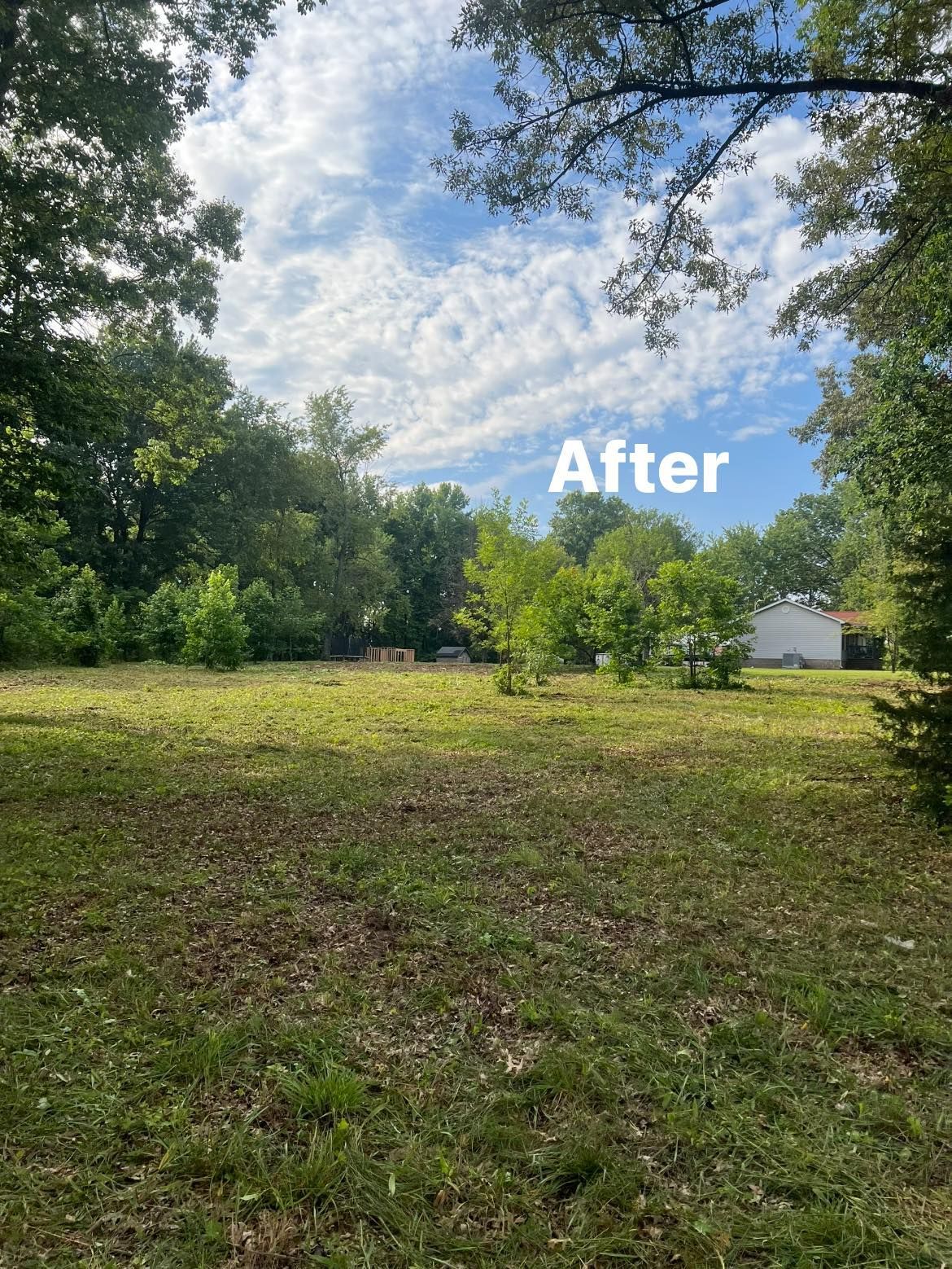 A picture of a yard after being mowed with trees in the background.