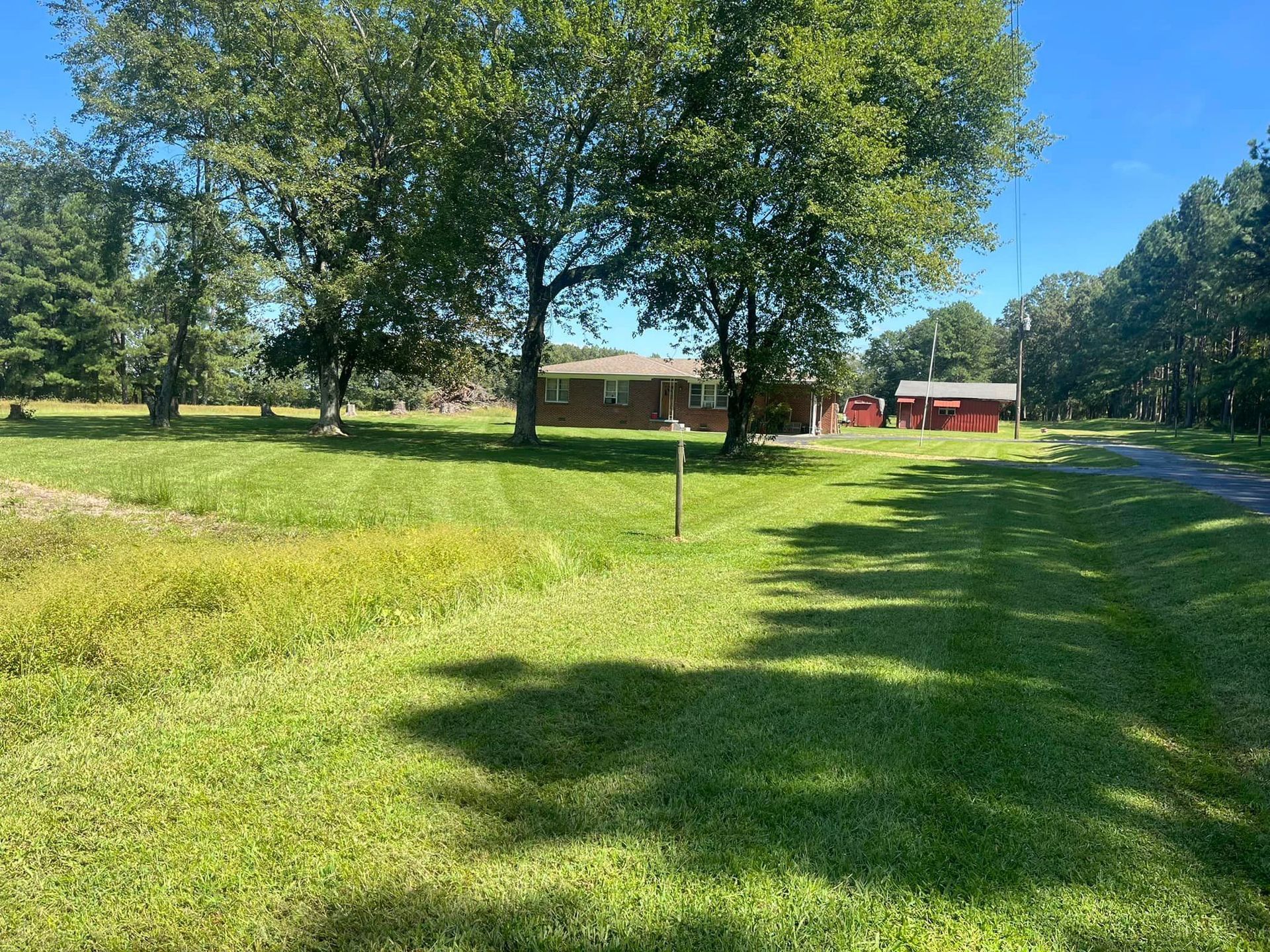 A large lush green field with trees and a house in the background.