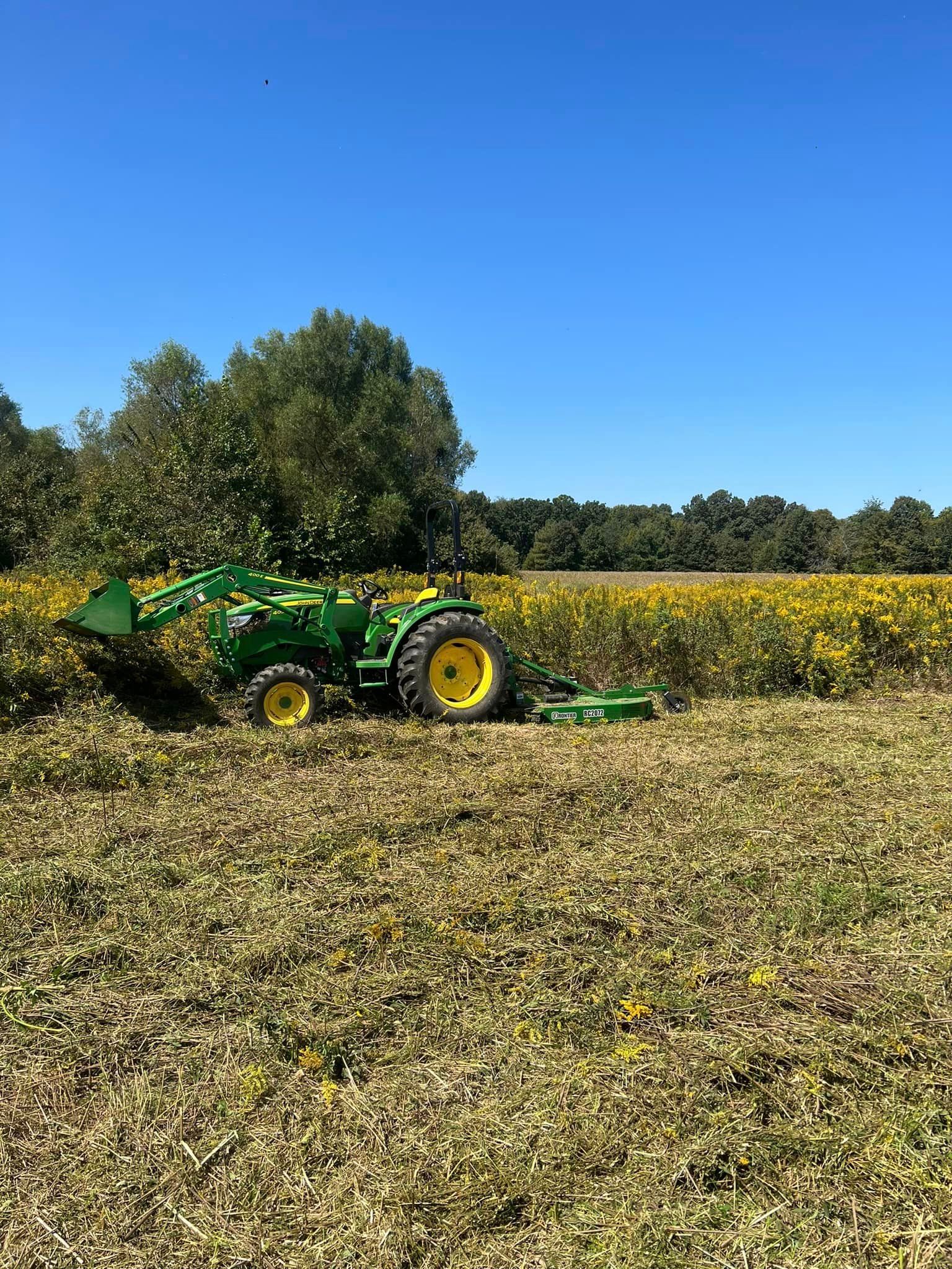 A green tractor is driving through a field of sunflowers.