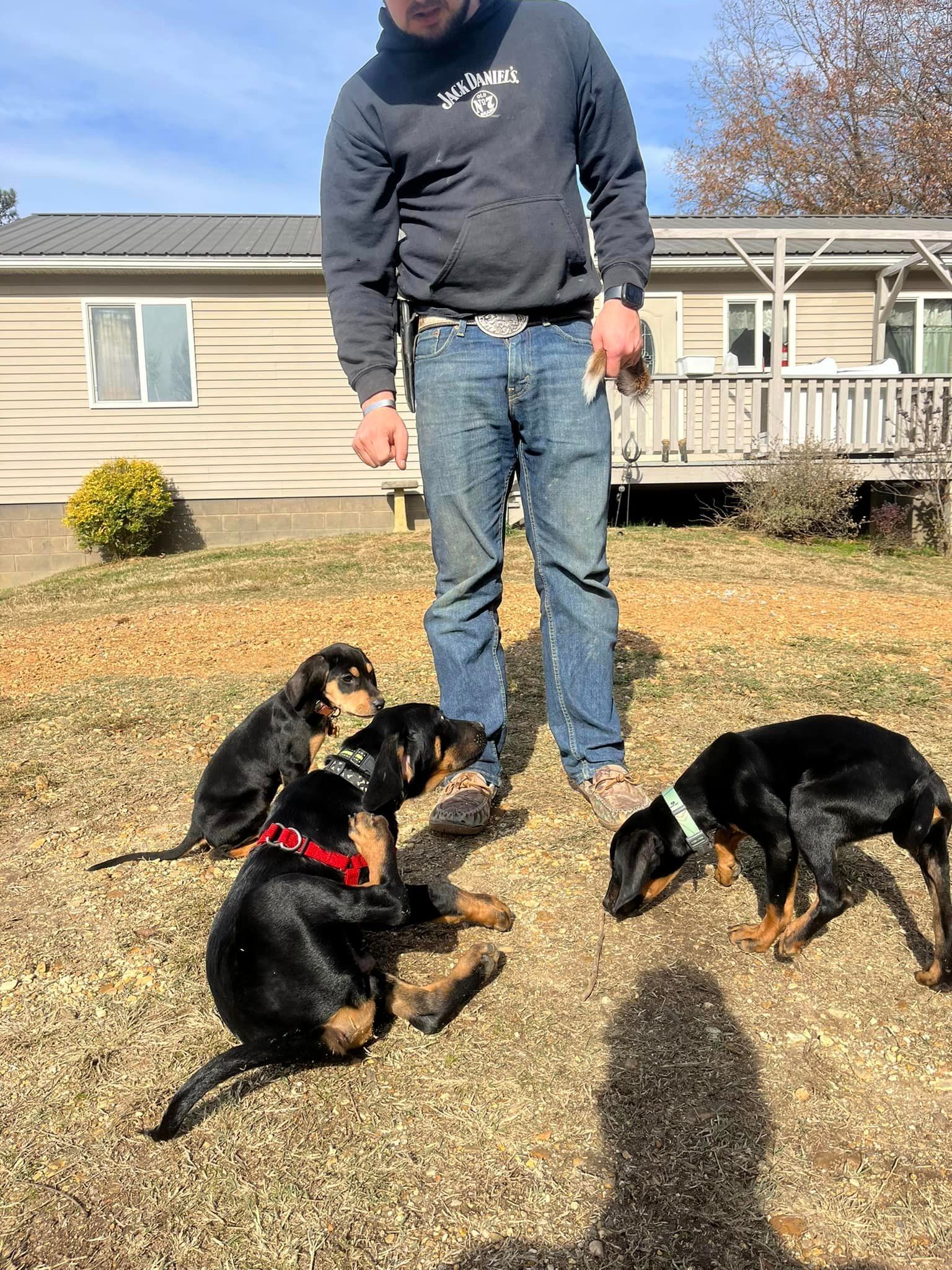 A man is standing next to three puppies in a yard.