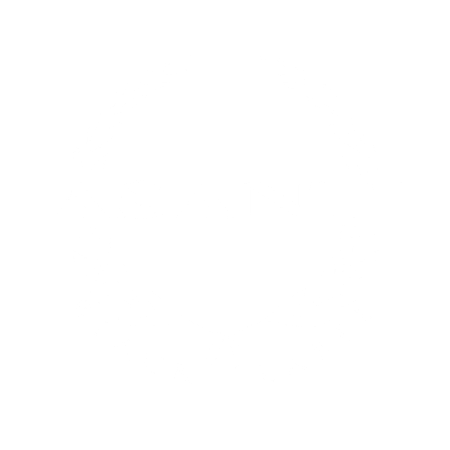 An illustrated poster featuring a colorful, stylized bird and floral patterns against a deep blue background.