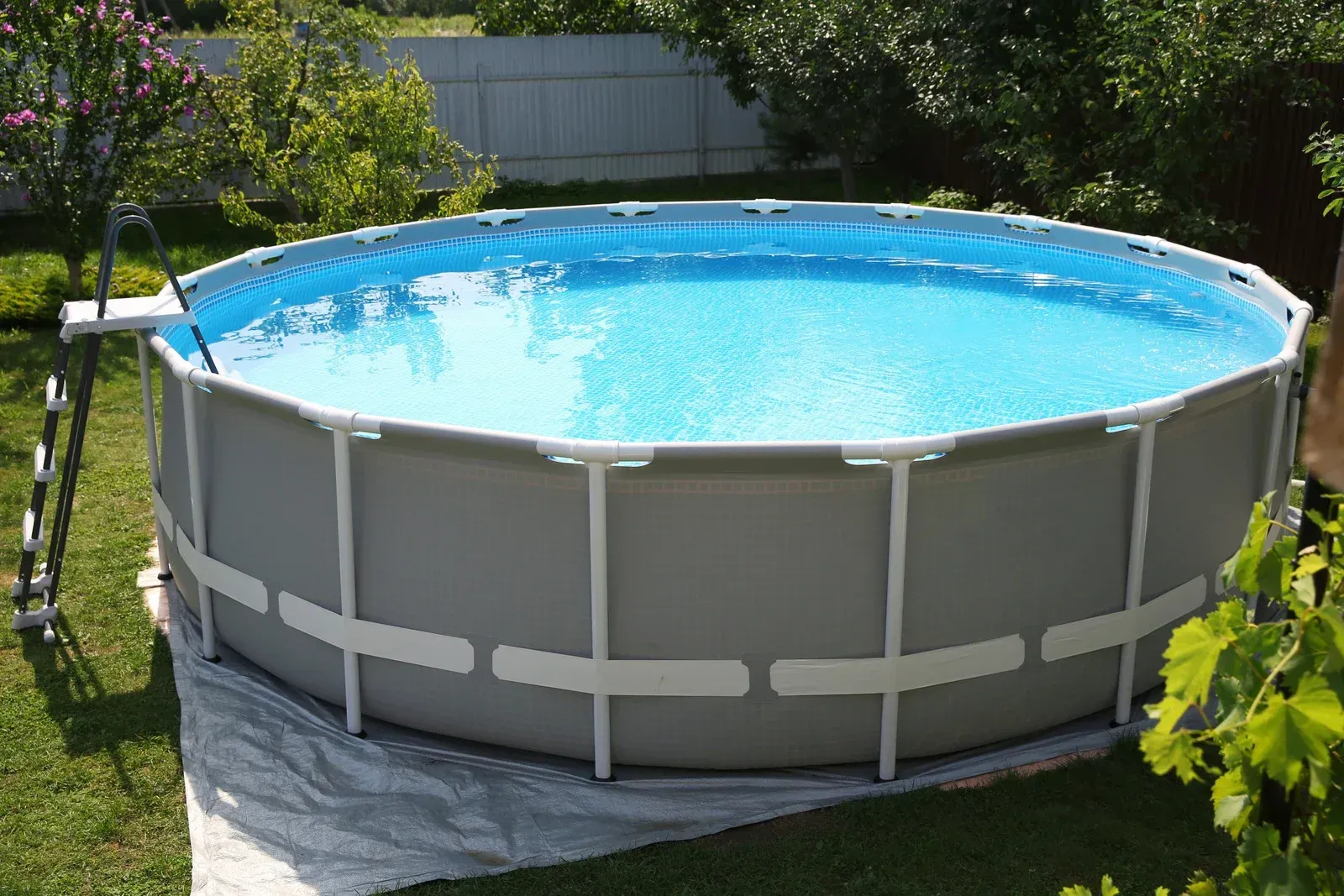 Above-ground, round swimming pool in a grassy backyard, filled with blue water. A ladder is positioned for access.