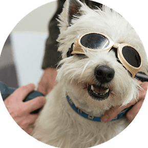 Laser Therapy