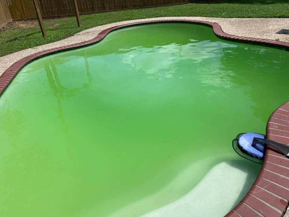 A green swimming pool with a brush in it.