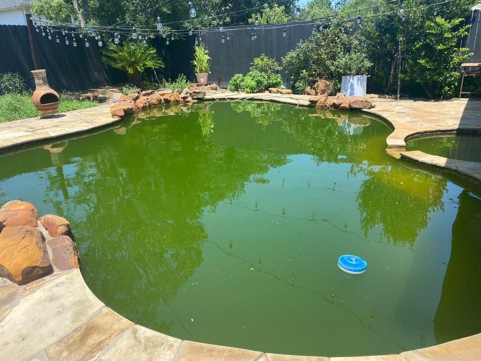 A swimming pool with a lot of green algae in it
