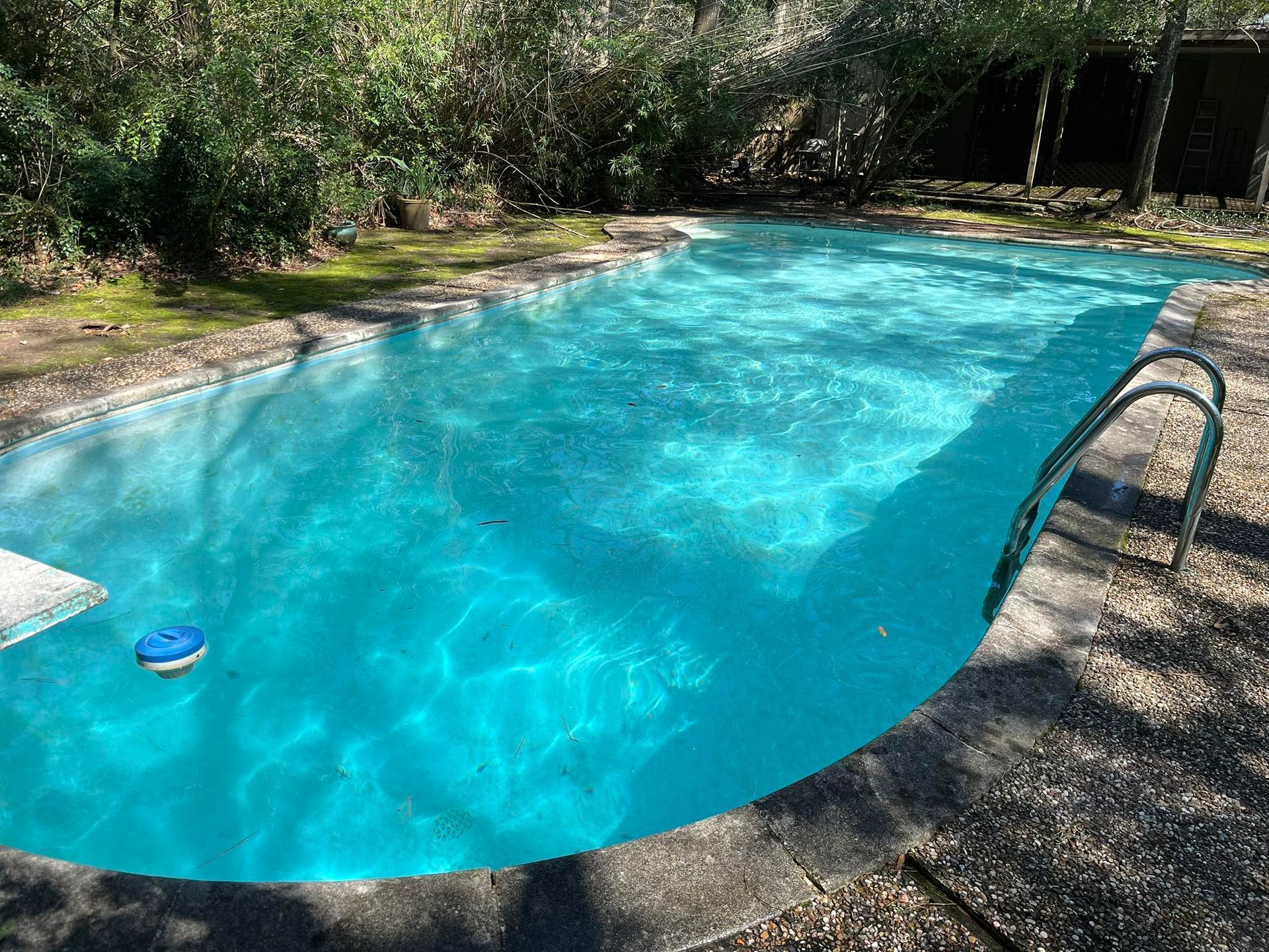 A large swimming pool filled with blue water and a ladder.