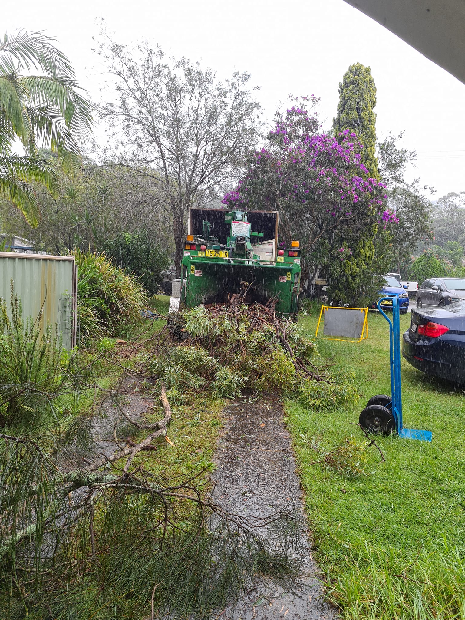 Tree Services  — lawn care in Umina Beach, NSW