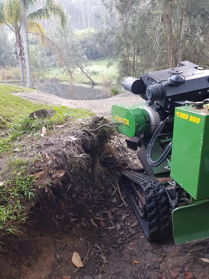 Dry Stumps — maintenance and lawn care work in Umina Beach, NSW