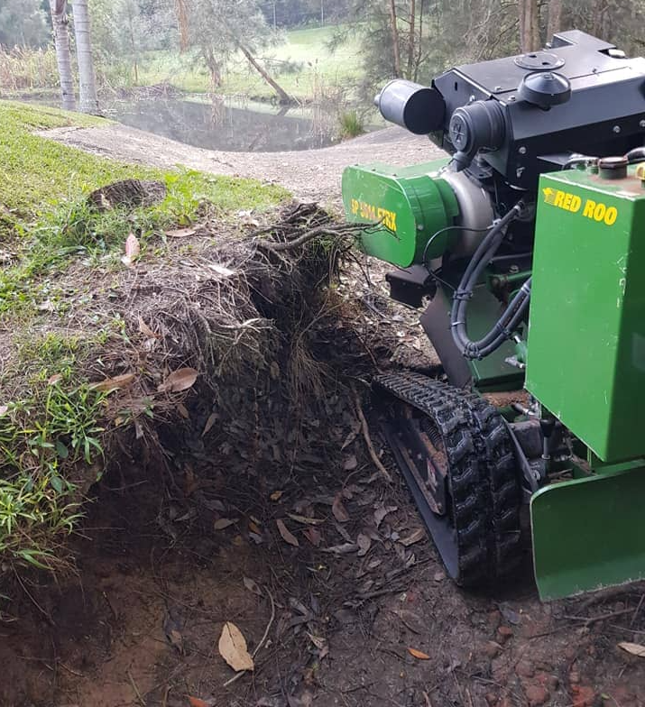 Dry Stumps — maintenance and lawn care work in Umina Beach, NSW