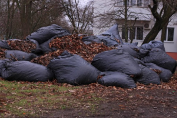 Leaves raked up and put in large black bags gathered to the thrown away