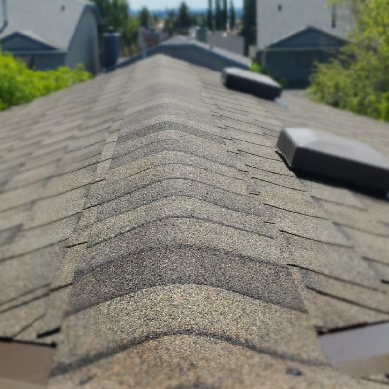 picture of roof