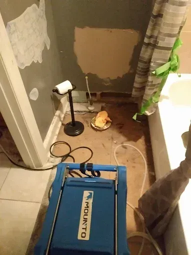 A blue Mounto water extraction machine in a bathroom, with exposed walls, a toilet paper stand, and a plate.