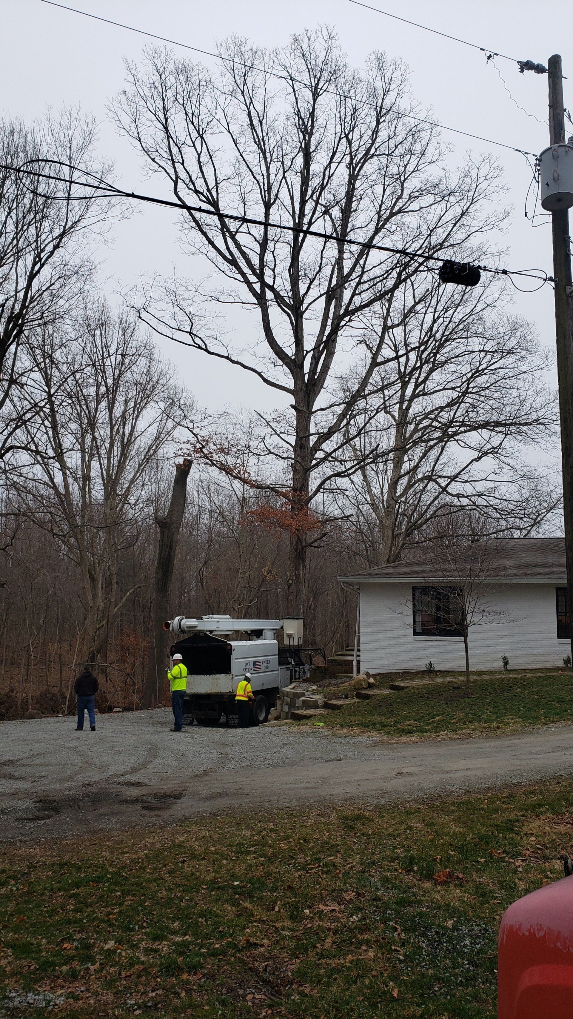 Workers Setting Up Crane for Tree Trimming — West Middleton, IN — Rice Tree Company Inc.