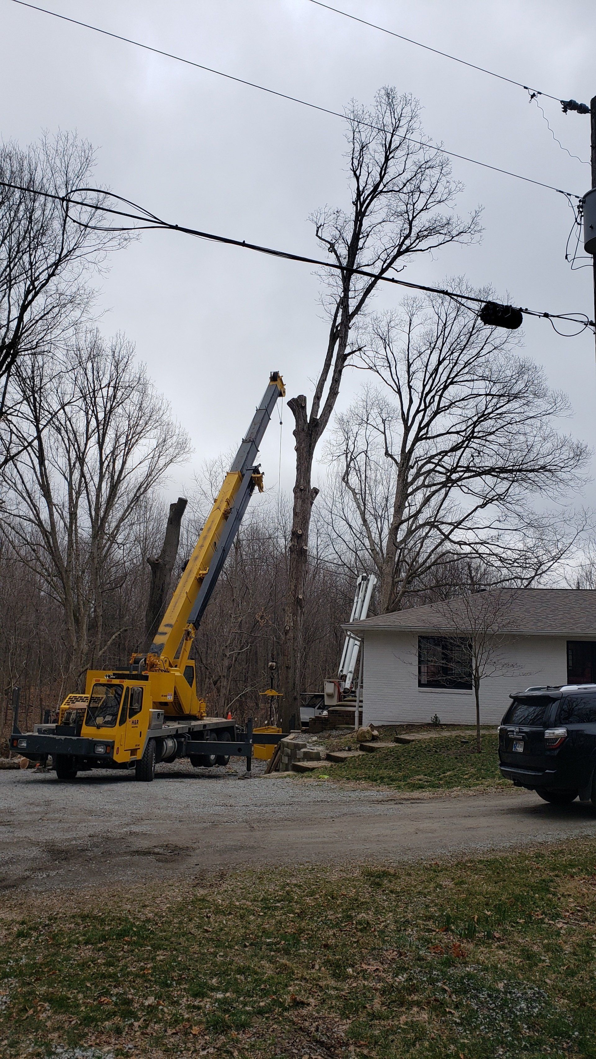 Tree Top Trimming — West Middleton, IN — Rice Tree Company Inc.