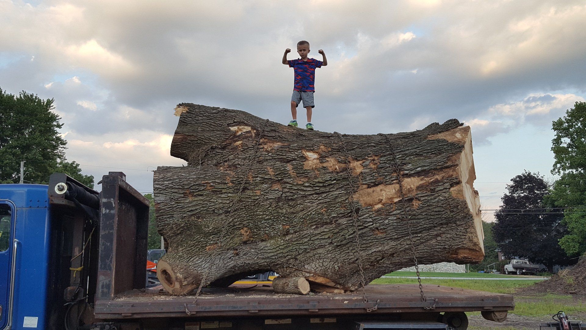 Man Standing on the Tree Log — West Middleton, IN — Rice Tree Company Inc.