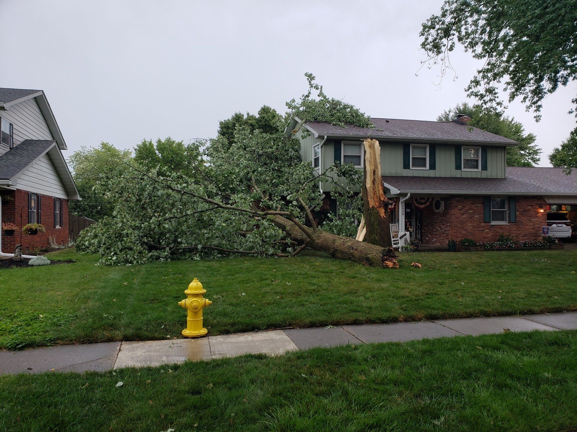 Tree Fallen Due to Storm — West Middleton, IN — Rice Tree Company Inc.
