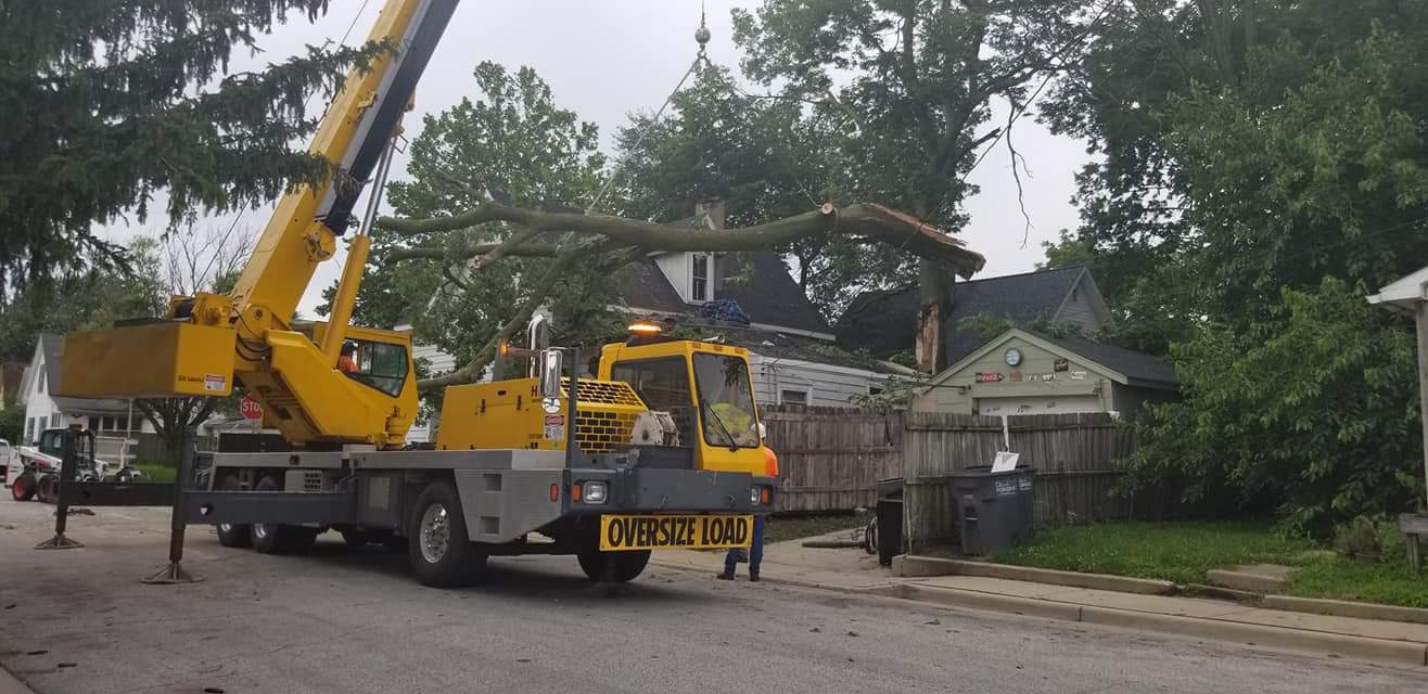 Fallen Tree Branch on the House Roof — West Middleton, IN — Rice Tree Company Inc.