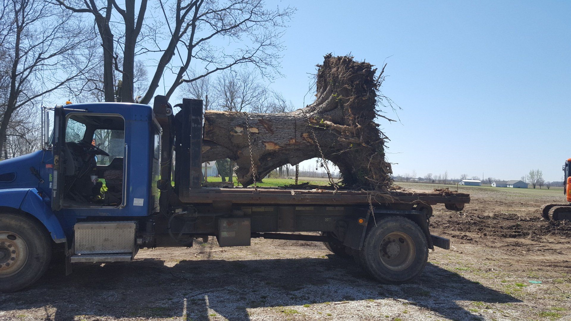 Tree Log on the Back of the Truck — West Middleton, IN — Rice Tree Company Inc.
