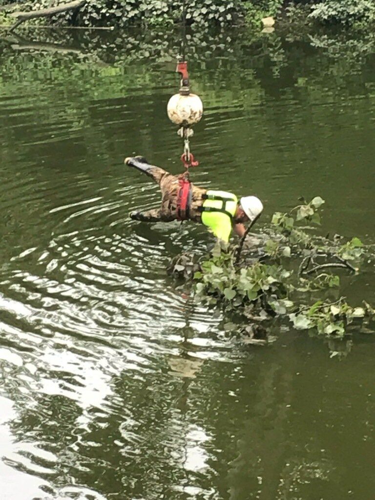 Tree Branch Floating on the Water — West Middleton, IN — Rice Tree Company Inc.