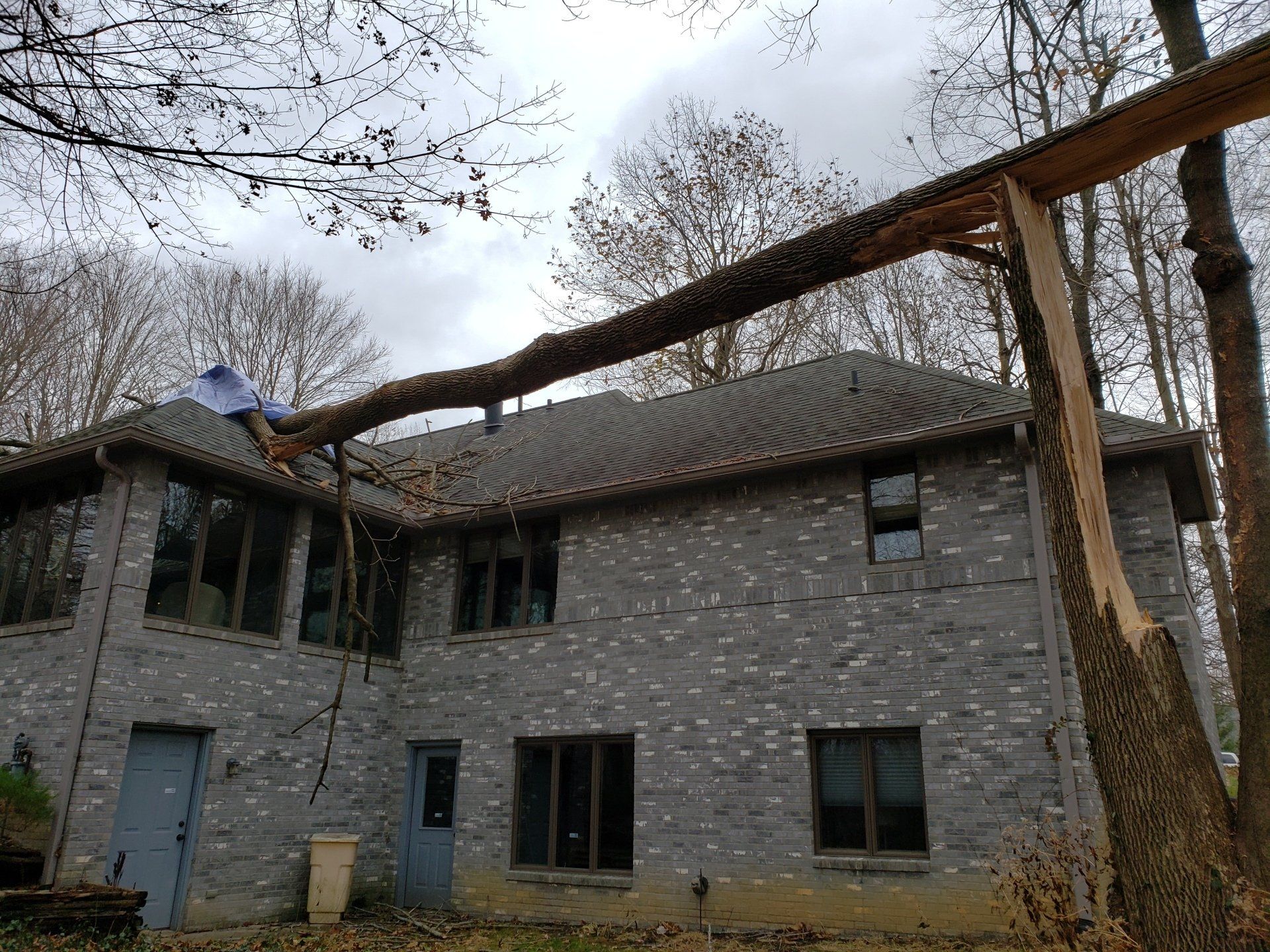 Fallen Tree on the House Roof — West Middleton, IN — Rice Tree Company Inc.