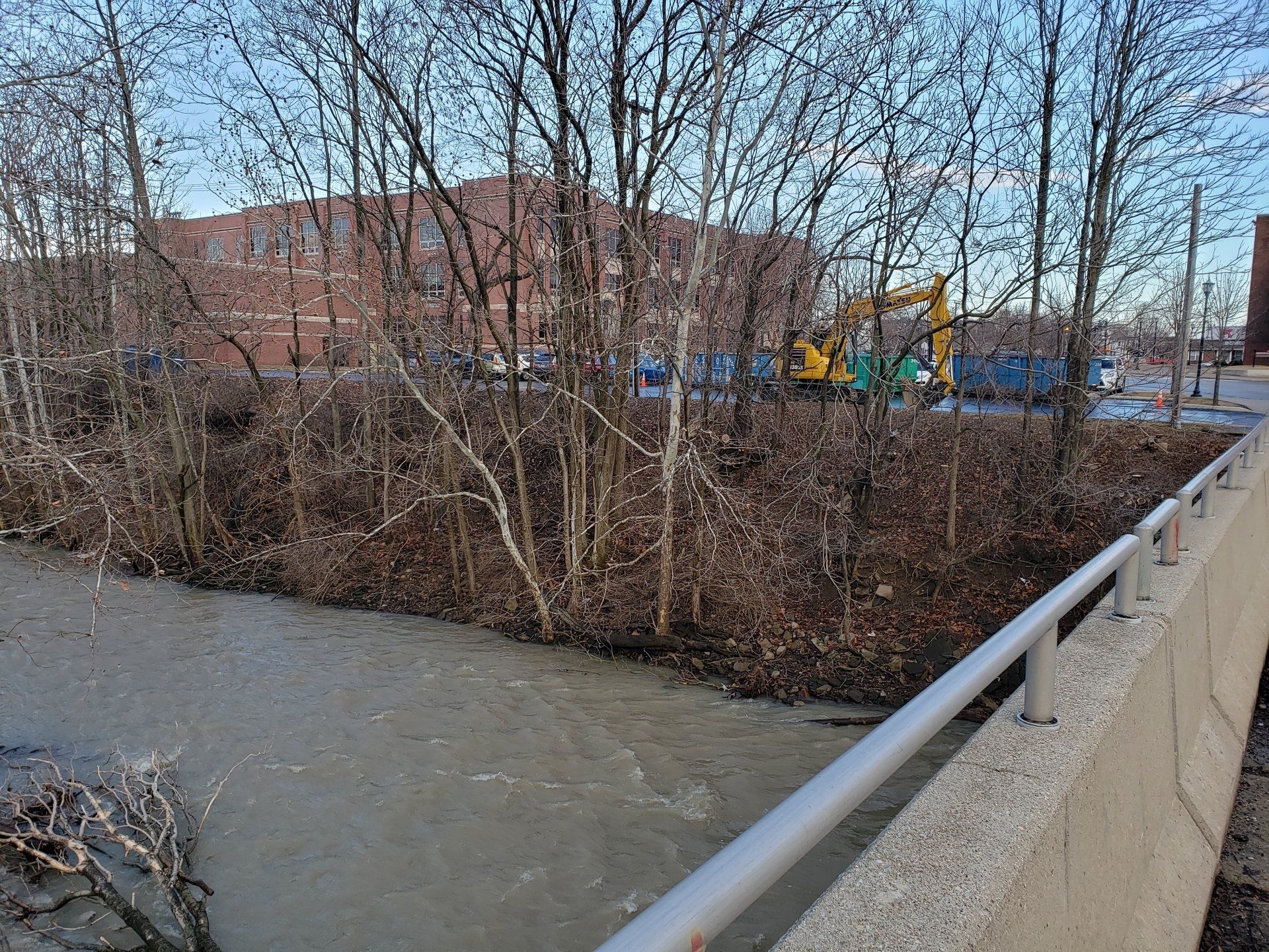 Dead Trees Beside the River — West Middleton, IN — Rice Tree Company Inc.