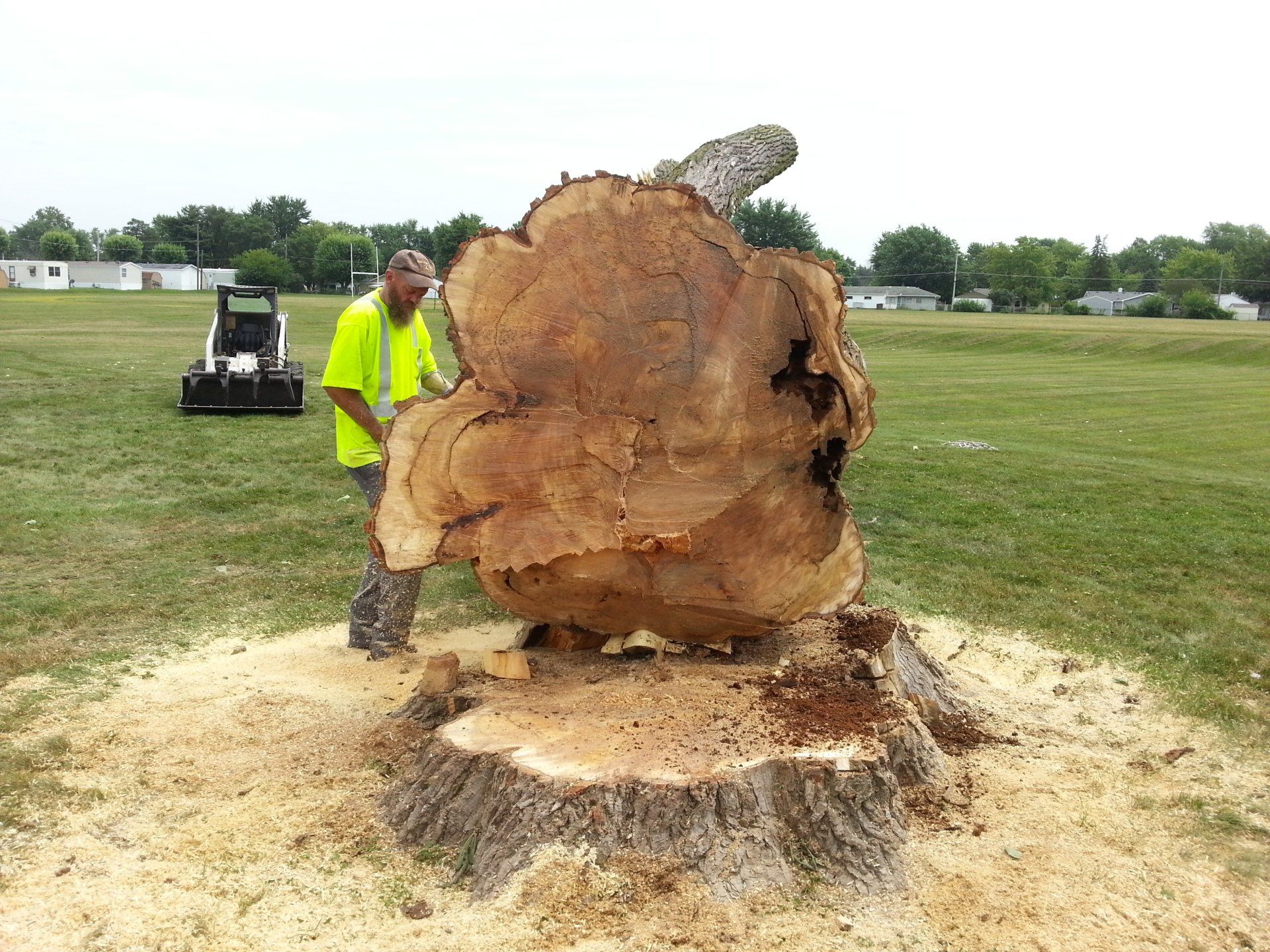 Big Tree Stump — West Middleton, IN — Rice Tree Company Inc.