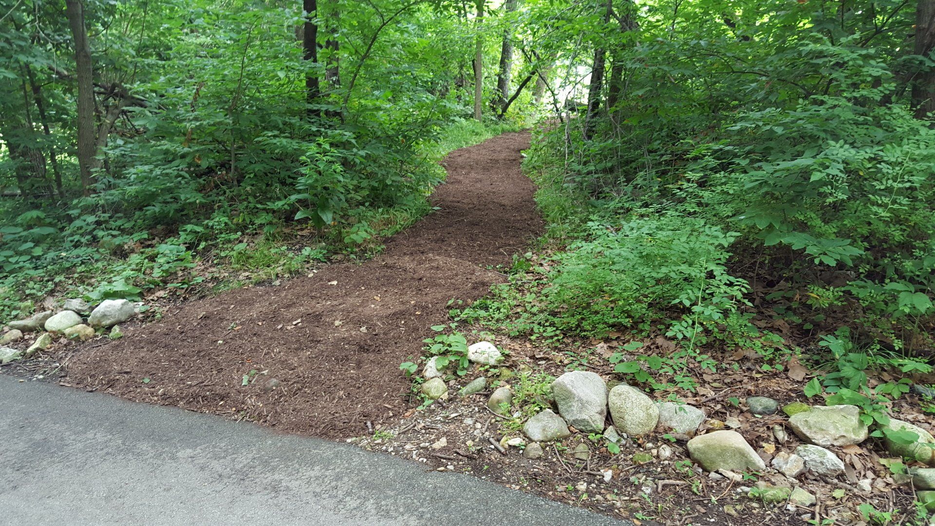 Beautiful Soil Pathway — West Middleton, IN — Rice Tree Company Inc.