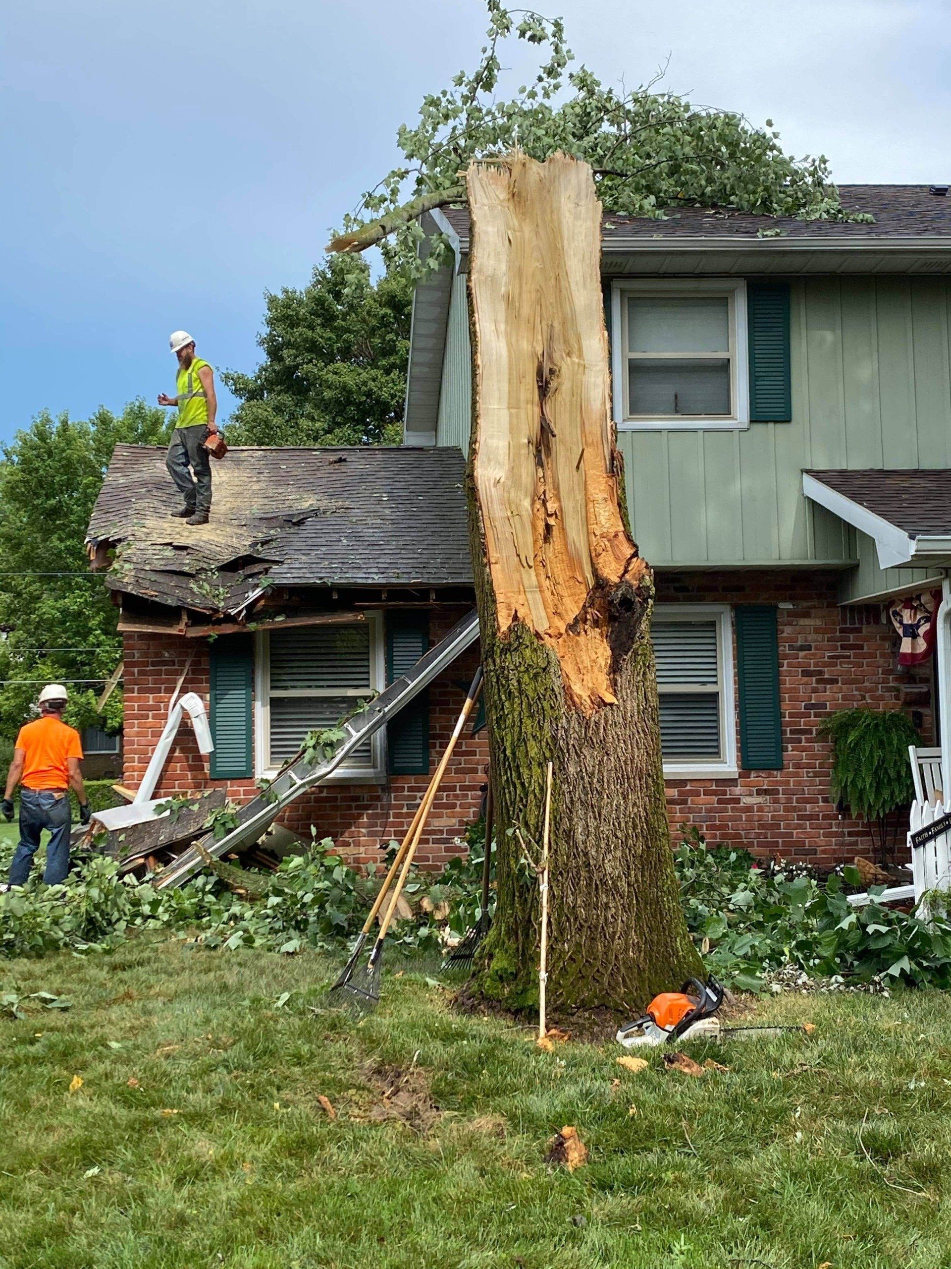 Storm Damaged Tree — West Middleton, IN — Rice Tree Company Inc.