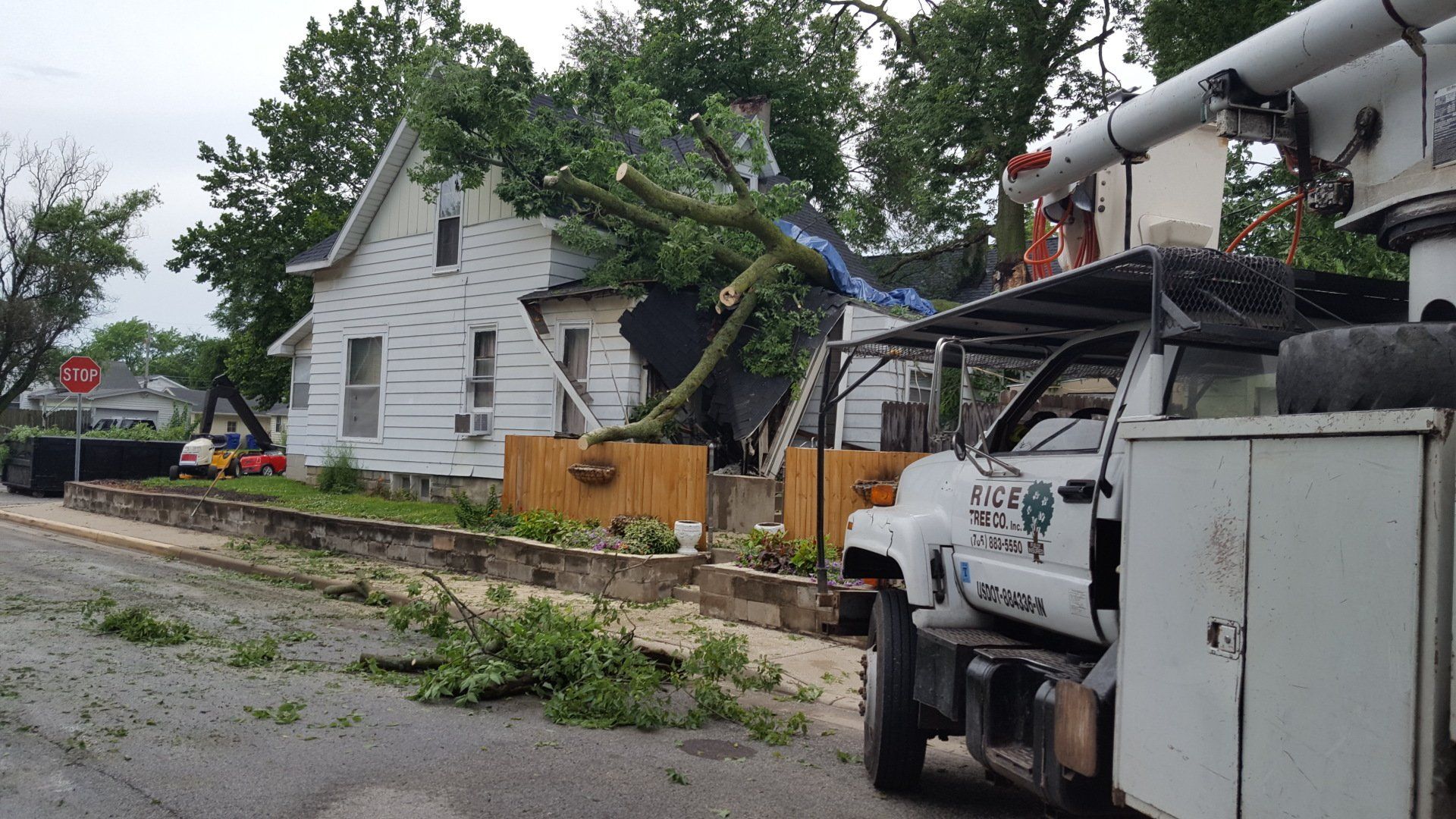 Tree Trimming In Progress — West Middleton, IN — Rice Tree Company Inc.
