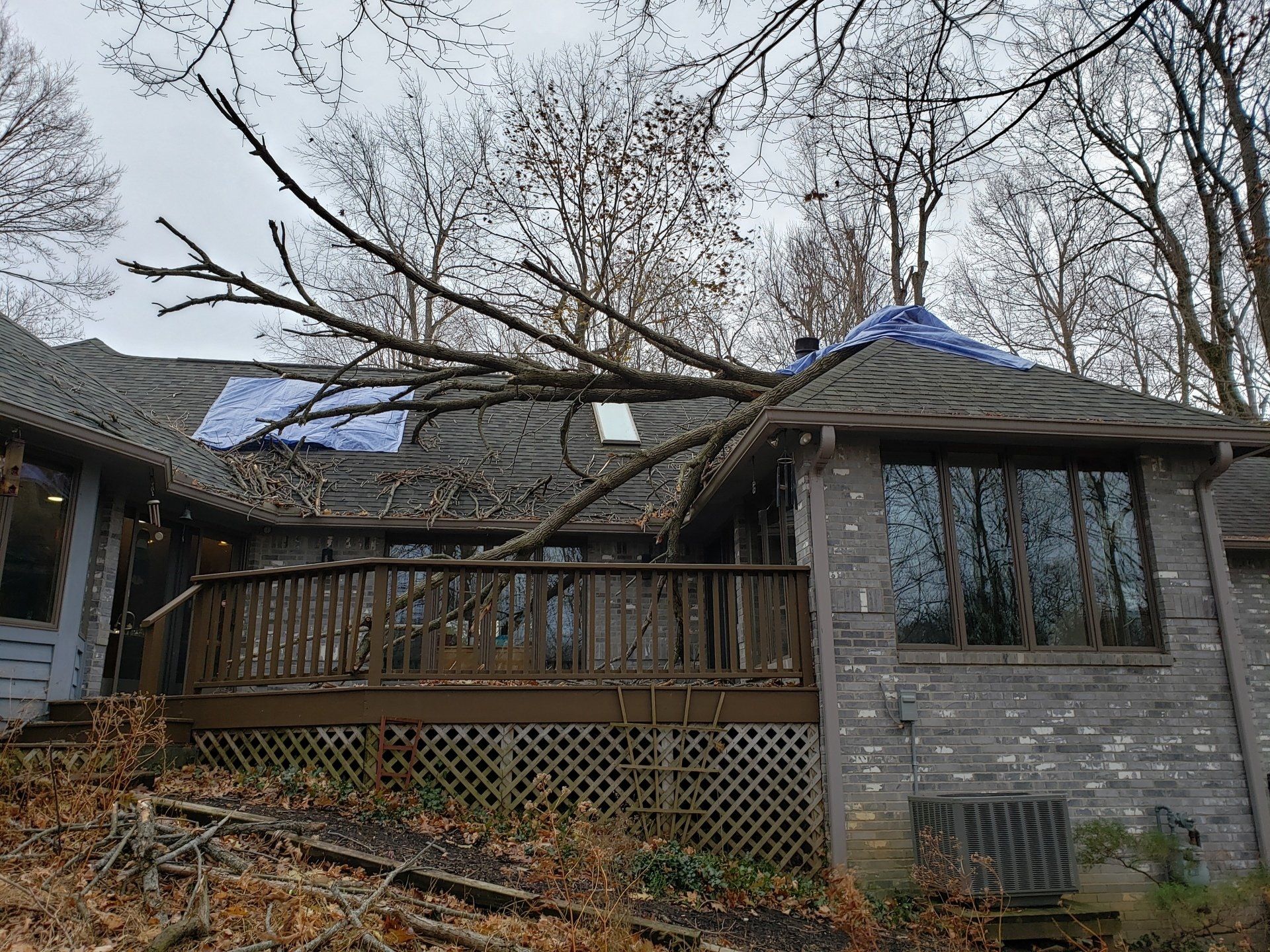 Tree Fallen on the House — West Middleton, IN — Rice Tree Company Inc.