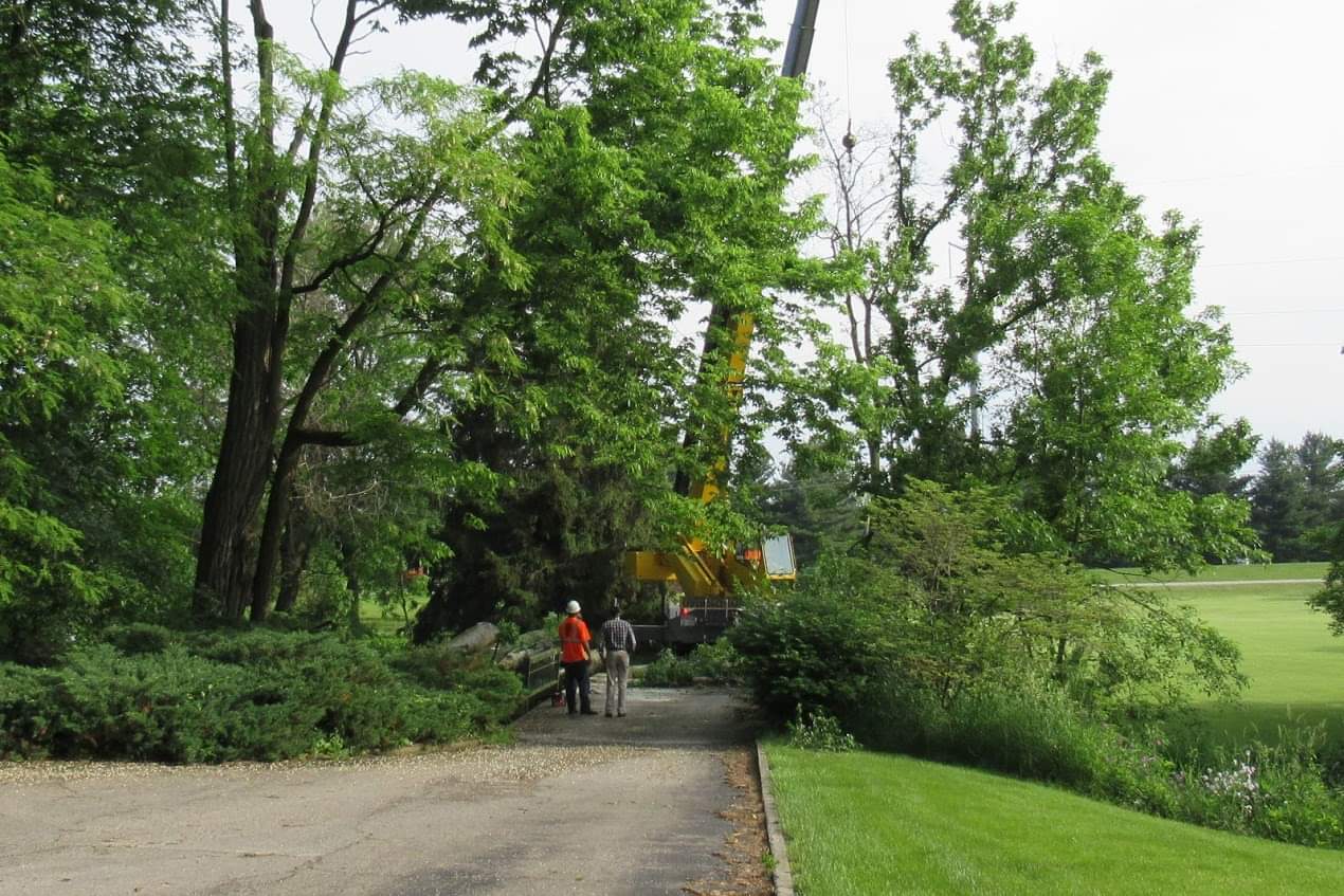Tall Crane for Tree Cutting — West Middleton, IN — Rice Tree Company Inc.
