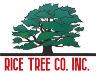 Rice Tree Company Inc.	