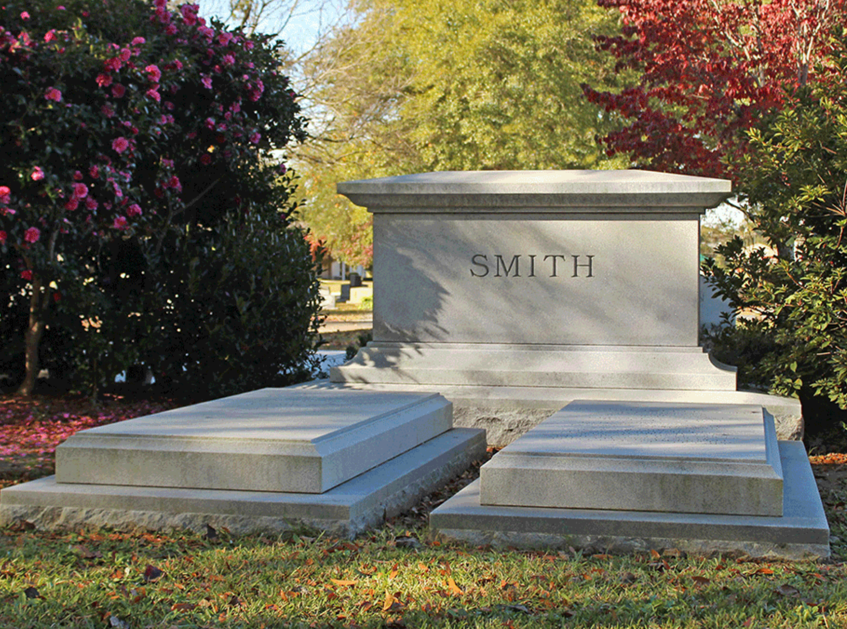 section-image