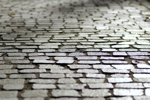 Close-up view of a cobblestone street; grey, rectangular stones arranged in rows.