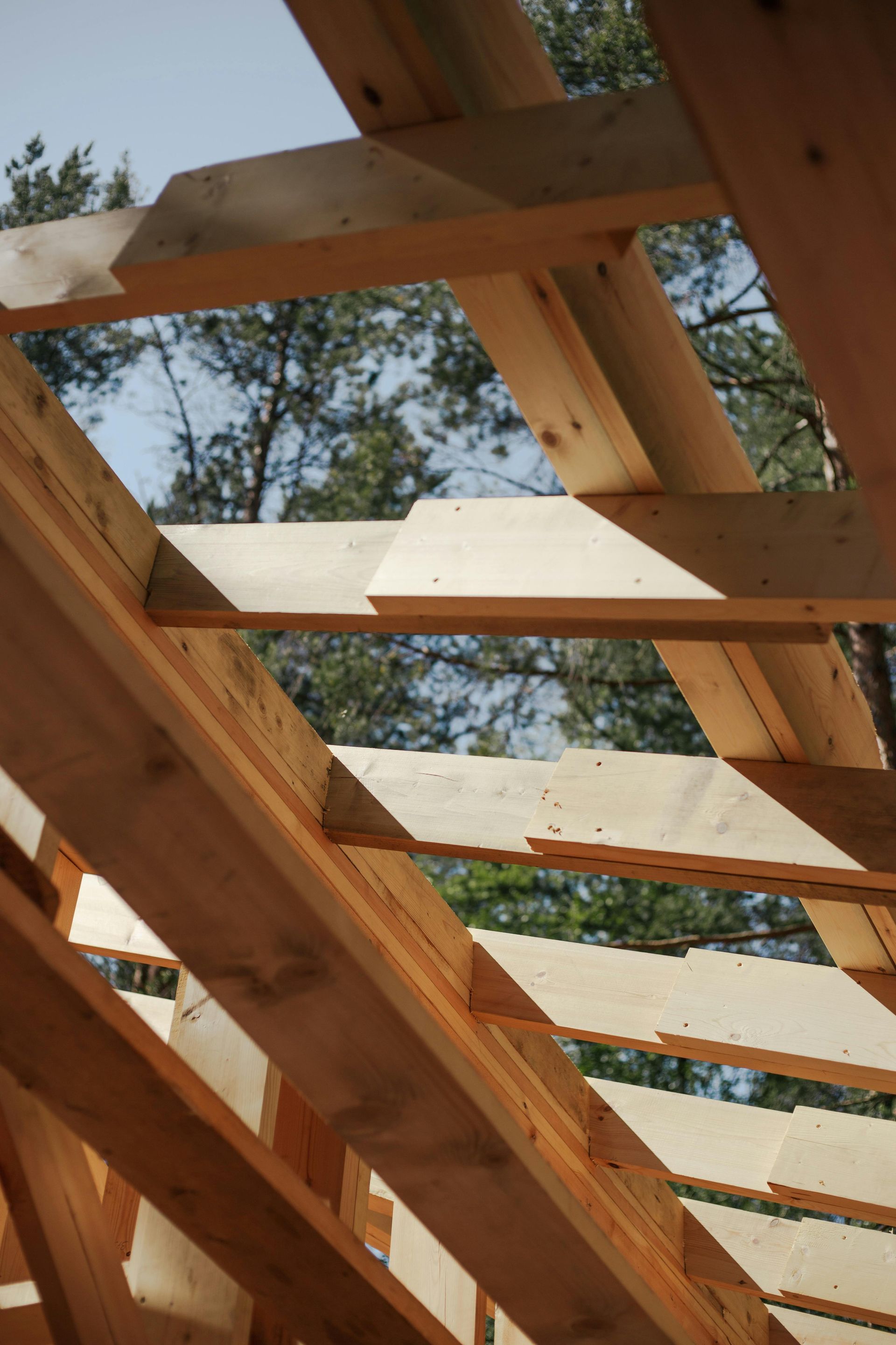Wooden roof rafters in sunlight, angled against a blue sky with treetops visible. Construction site view.