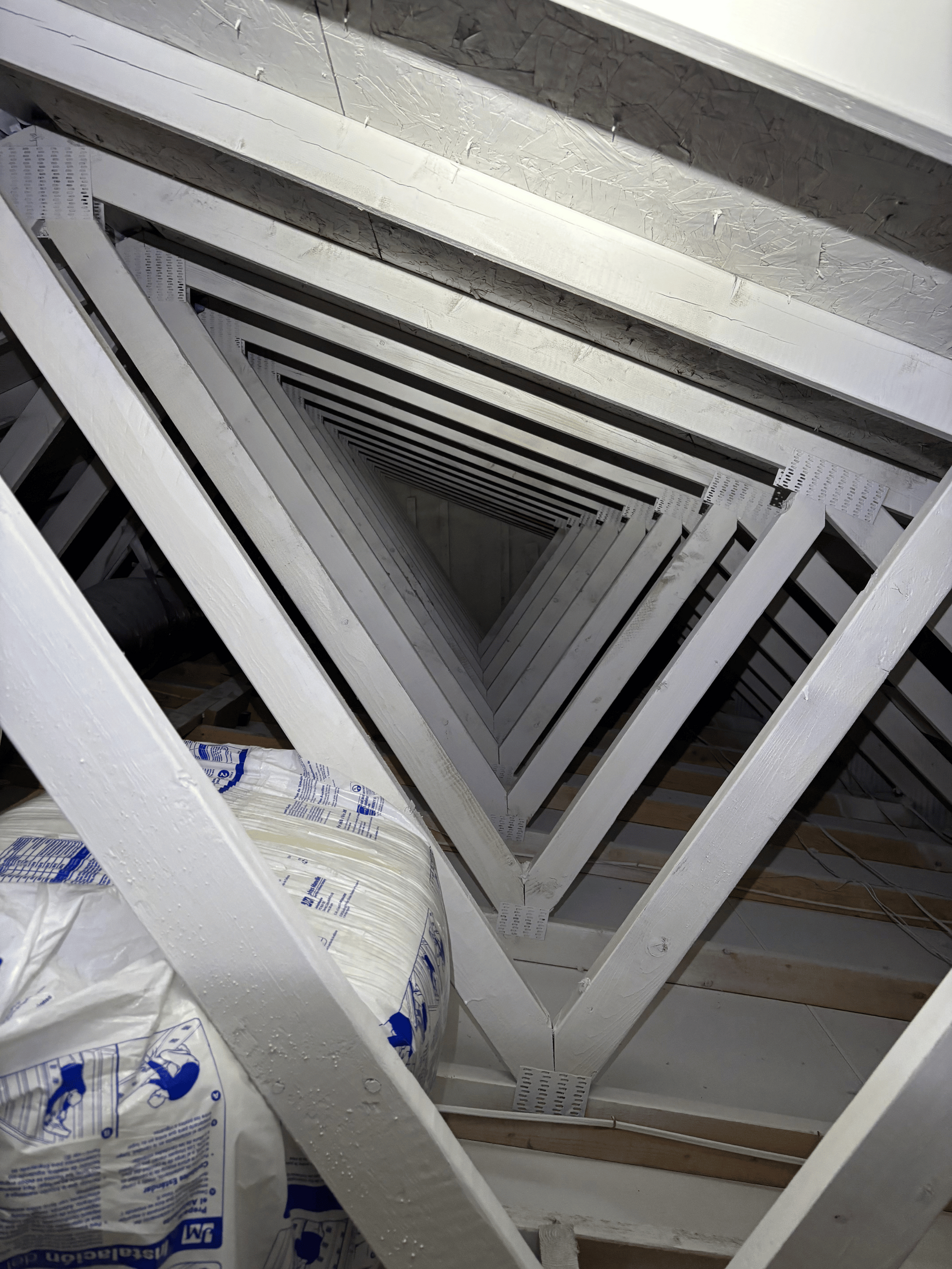 Attic Mold Removal Cost
