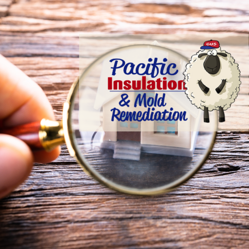 What to Do When Your House Fails Inspection