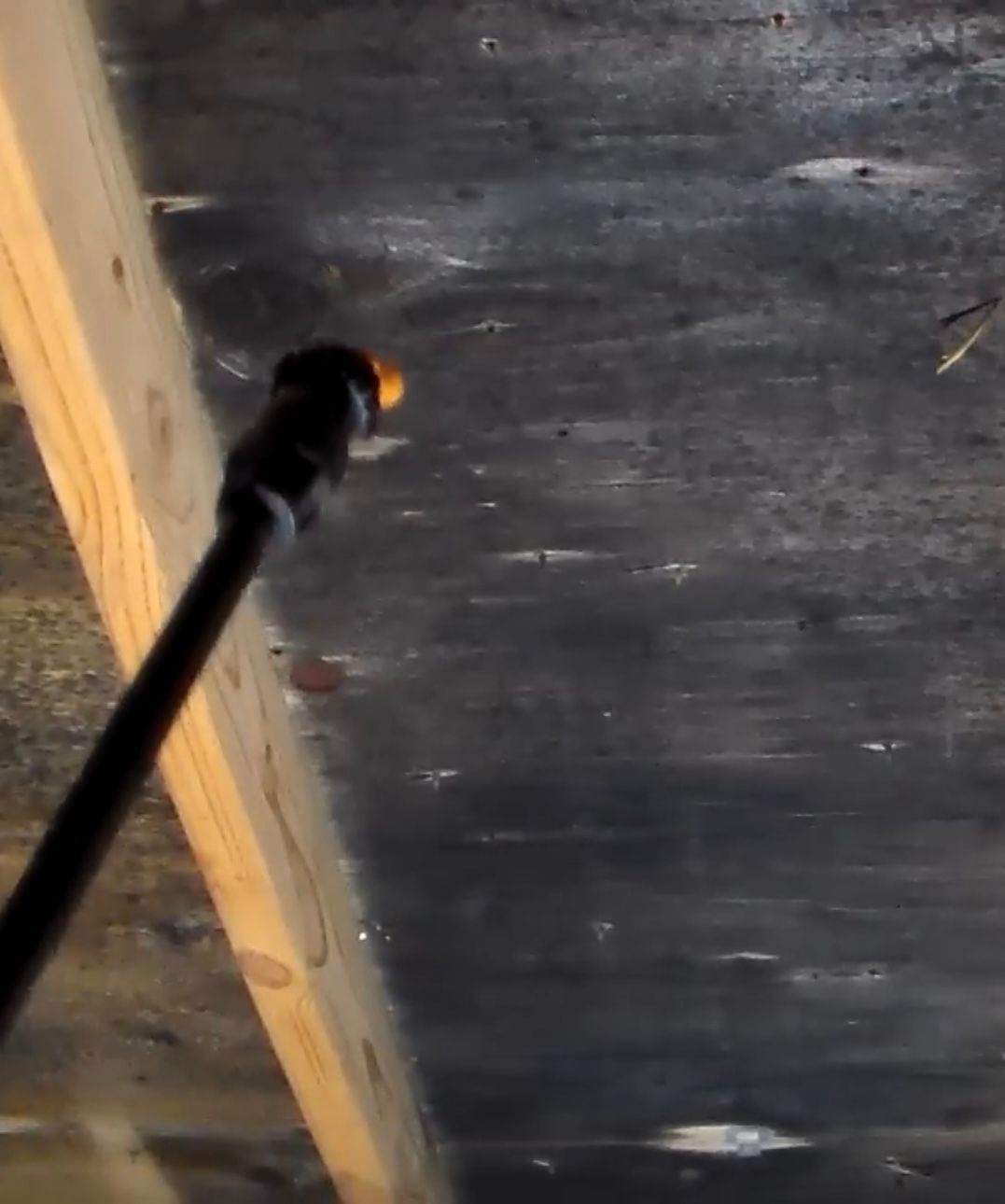 Shortcomings of Mold Foggers
