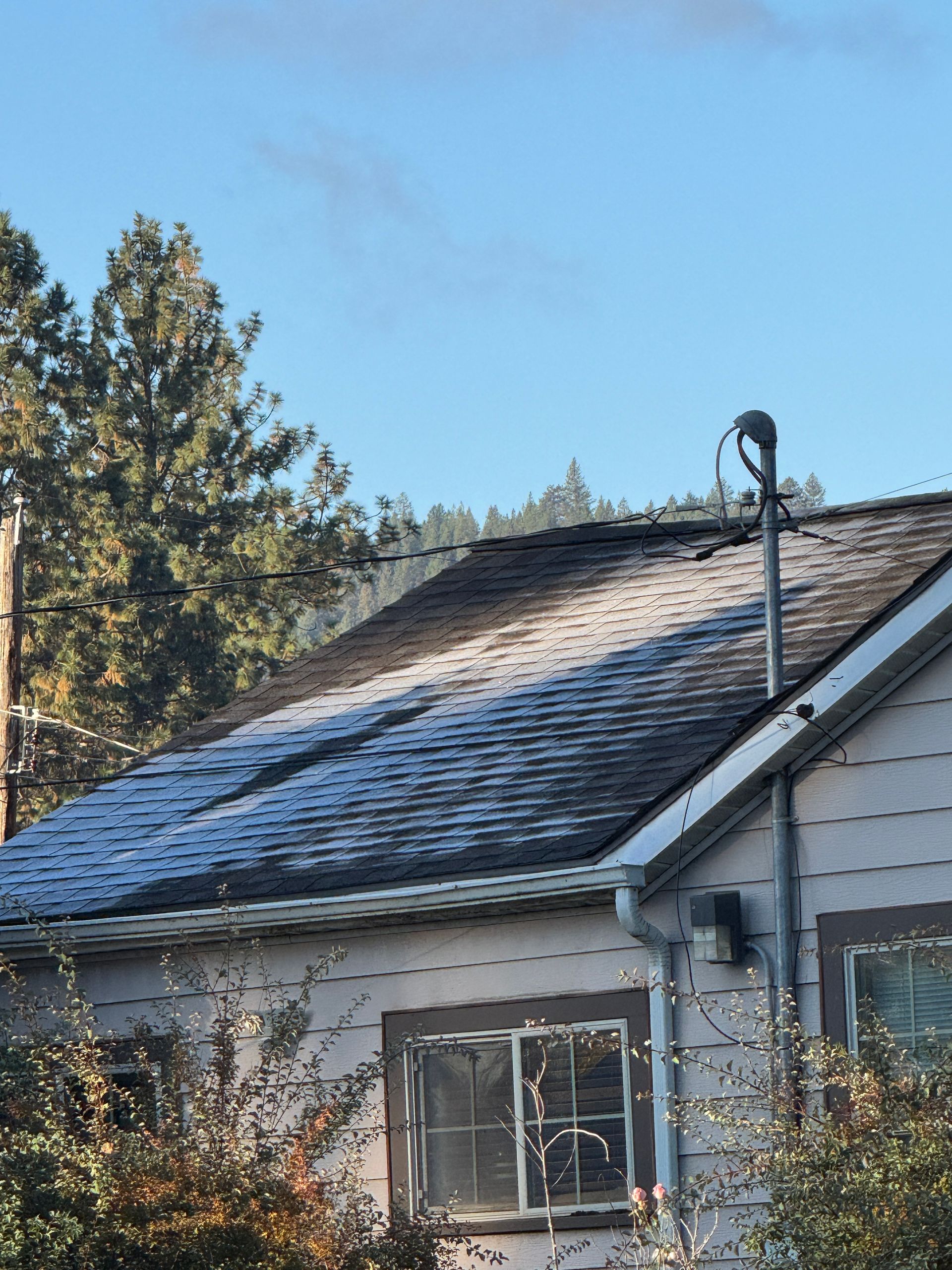 Attic Mold in Spokane Is Common—But It’s Not Normal