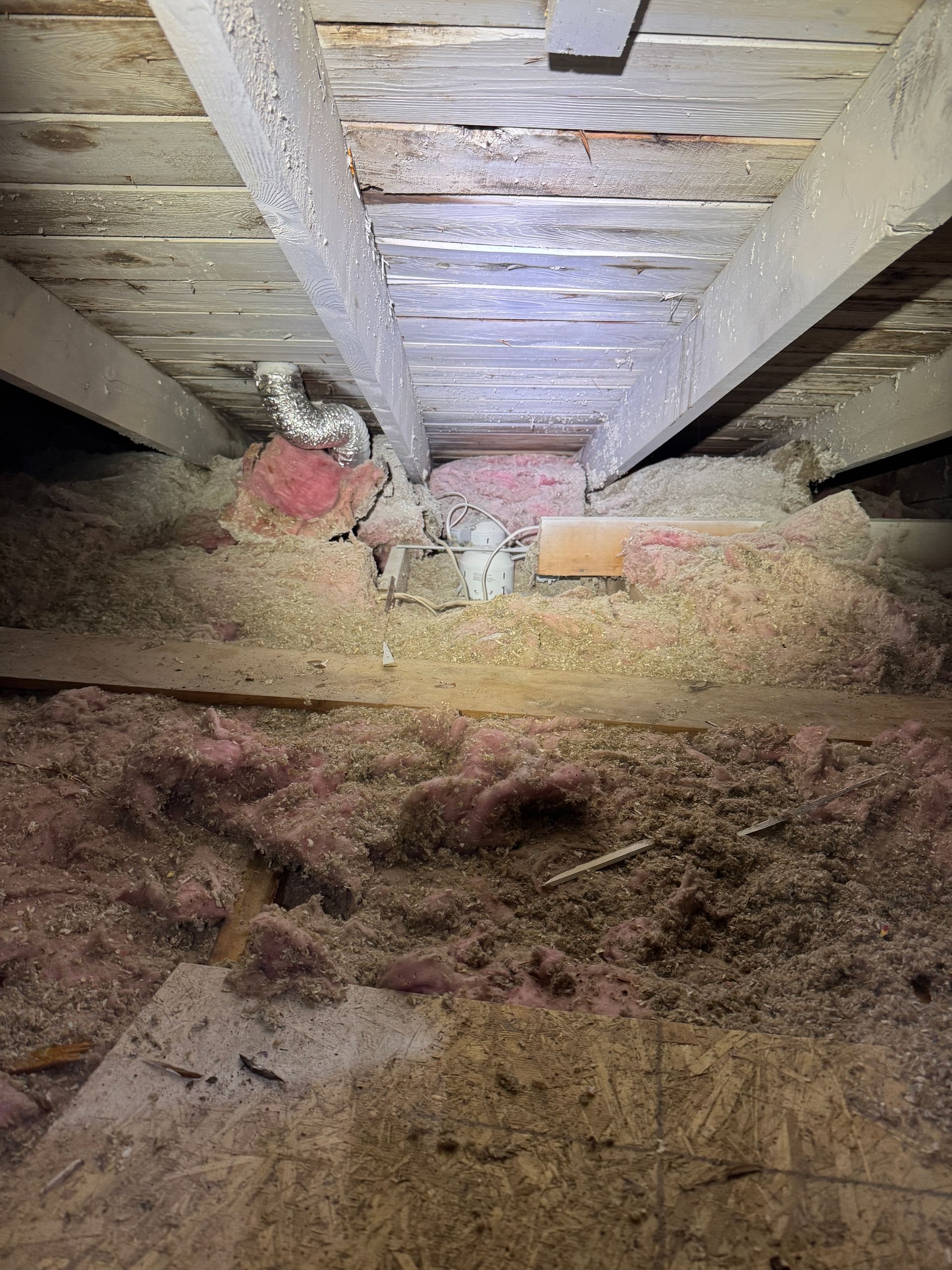 Attic Mold Removal in Spokane, WA