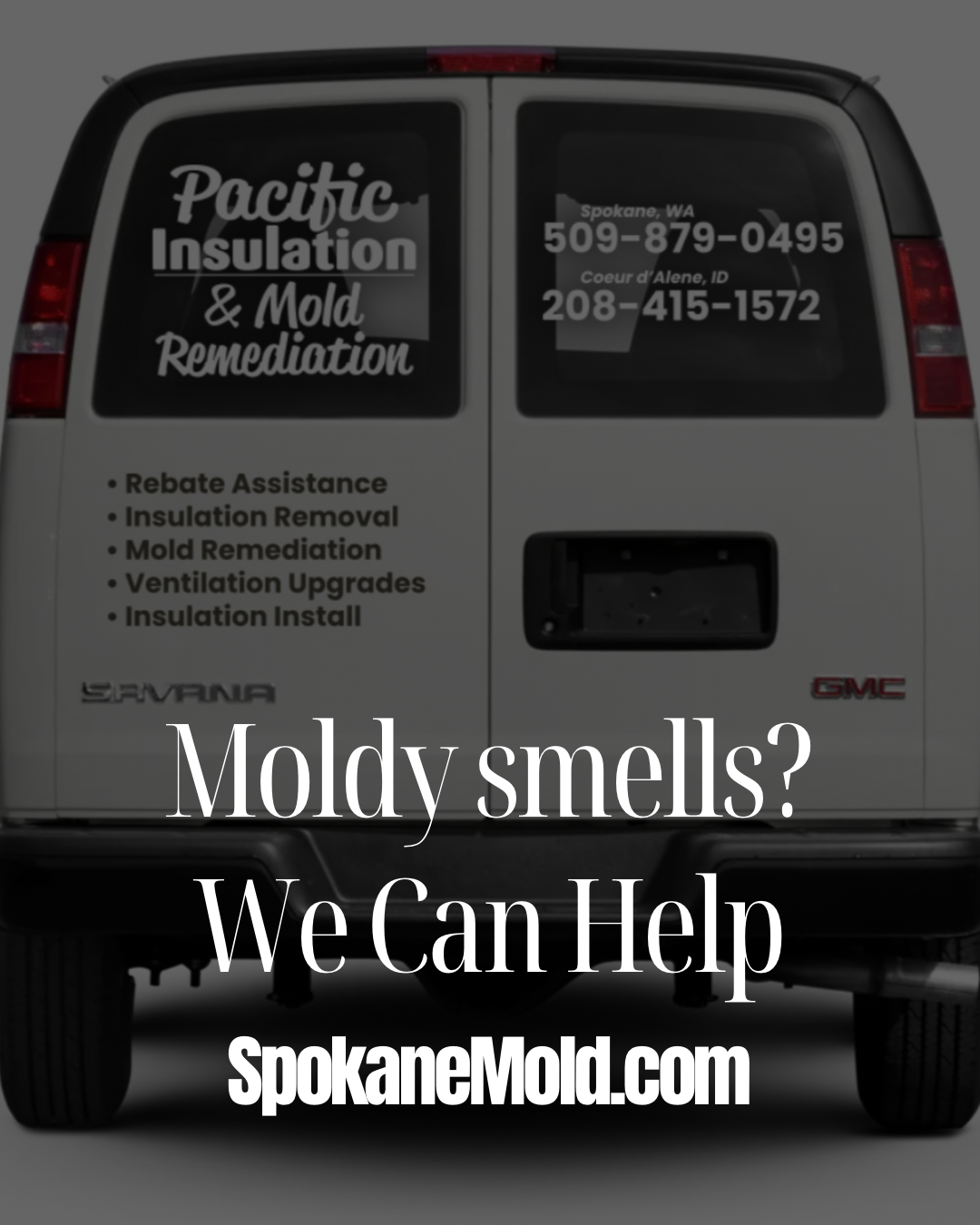 Attic Mold Inspection Services