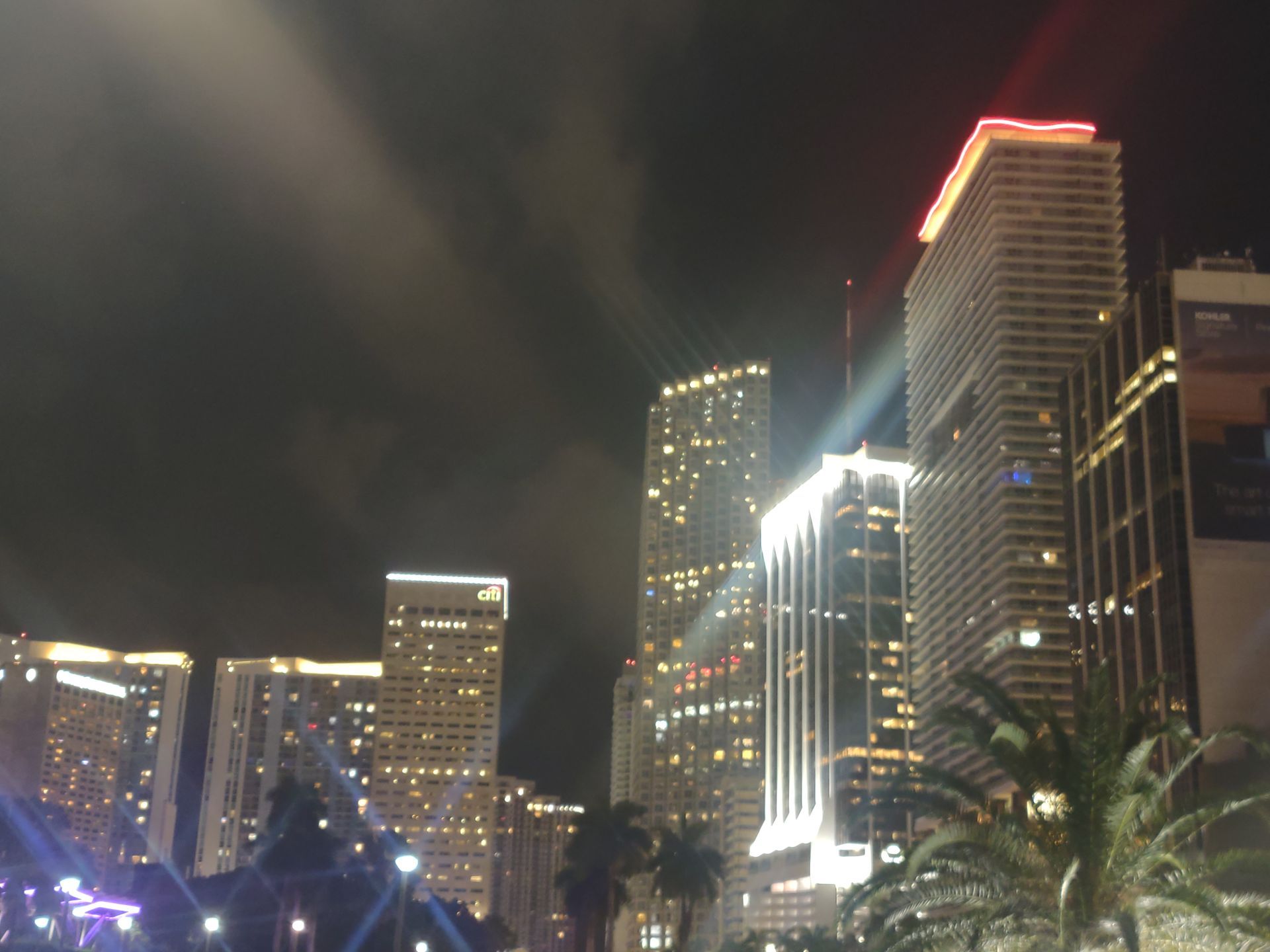 A city skyline at night with palm trees in the foreground