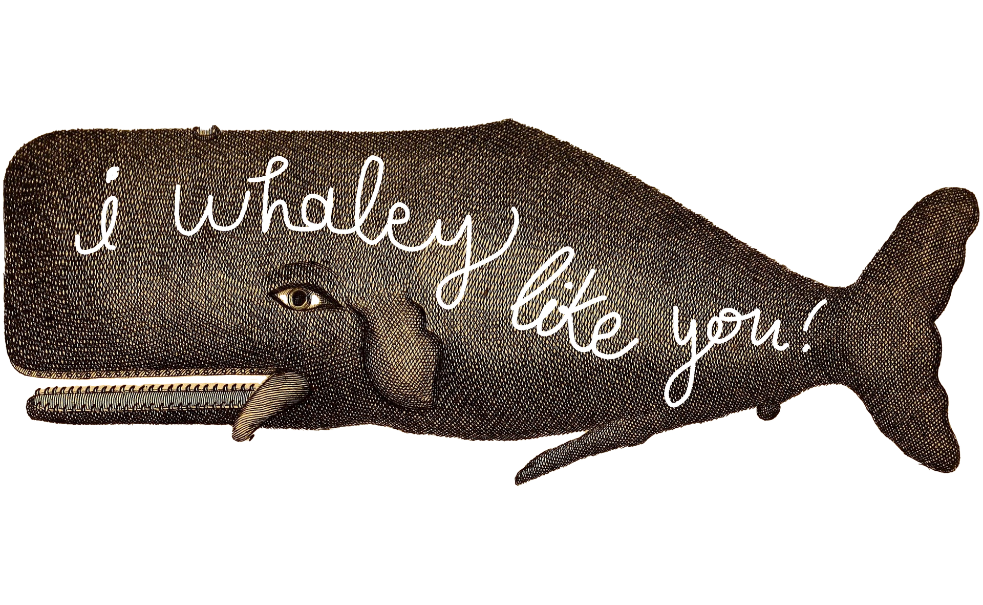 A whale with the words i whaley like you written on it Custom Design by Sarah Rosie Studios.