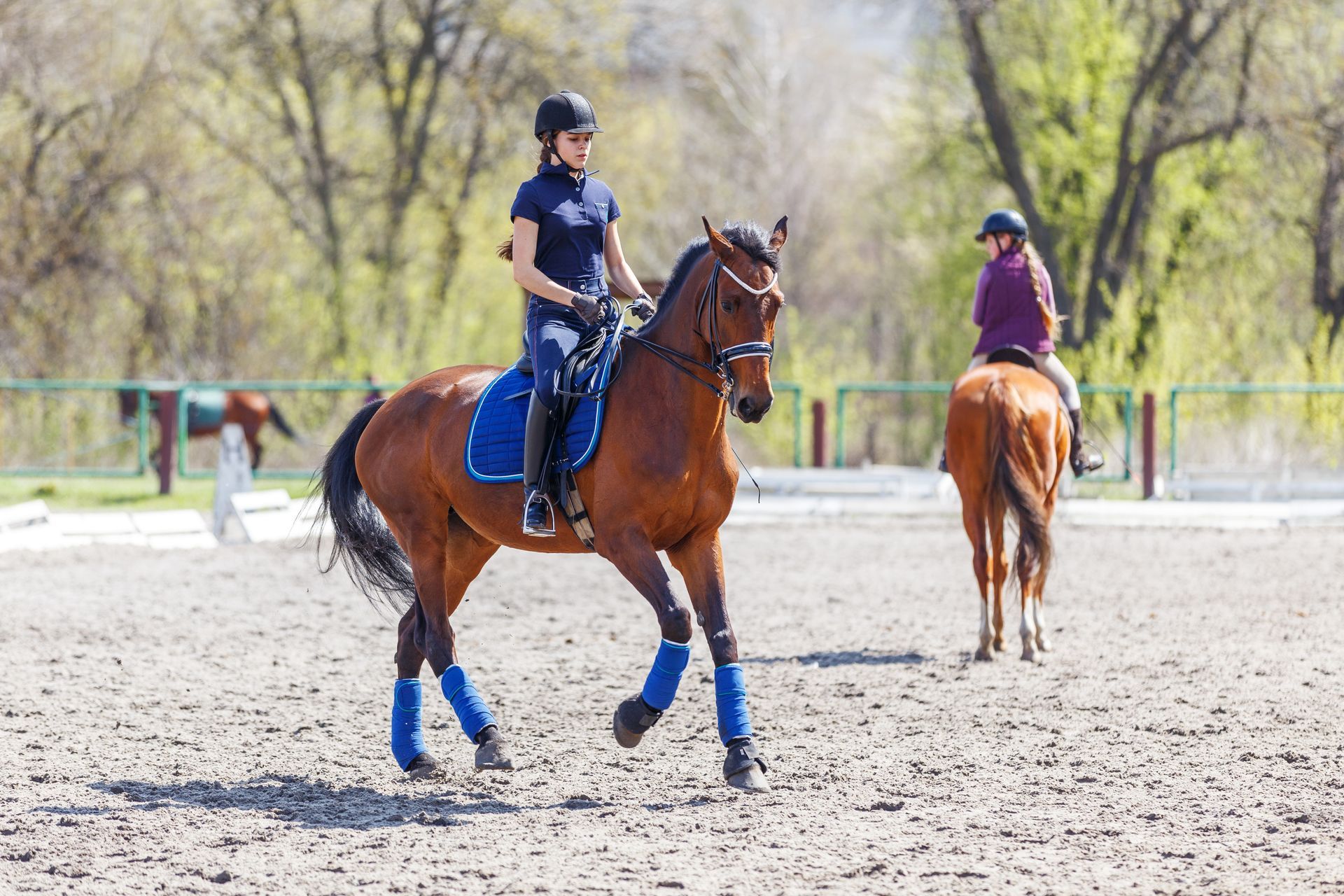 equestrian activities