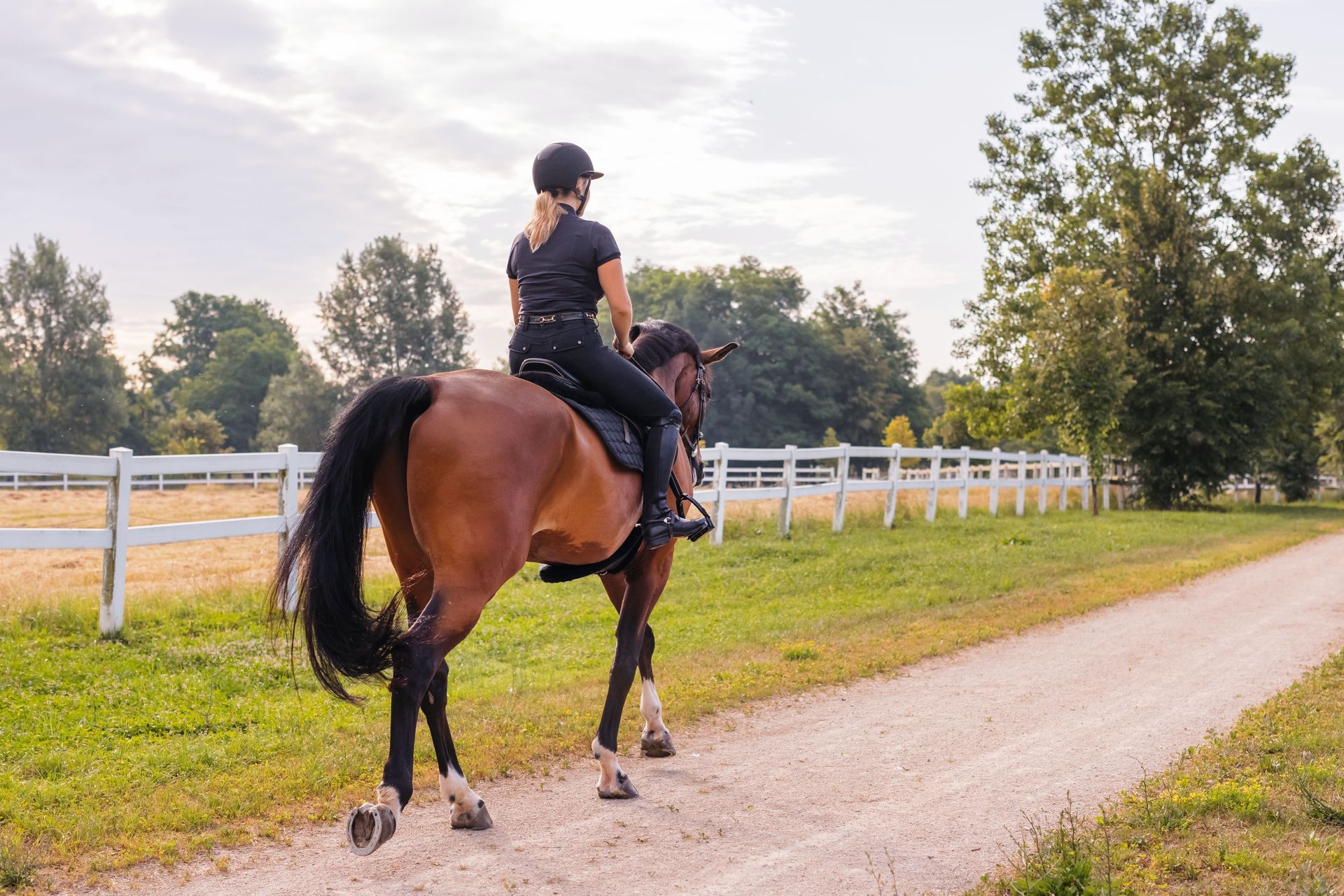 Trail Etiquette for Horseback Riders and Hikers