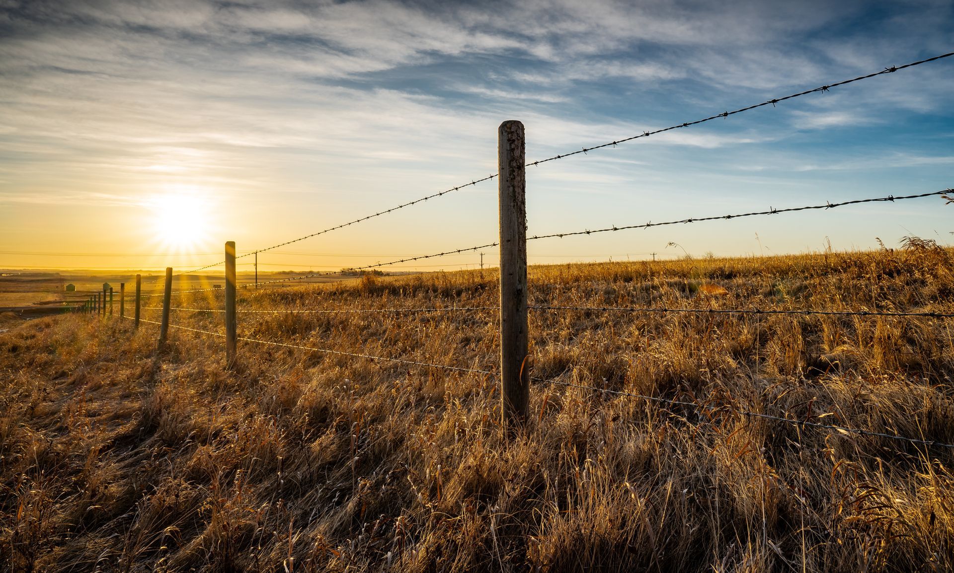 fencing at a ranch
