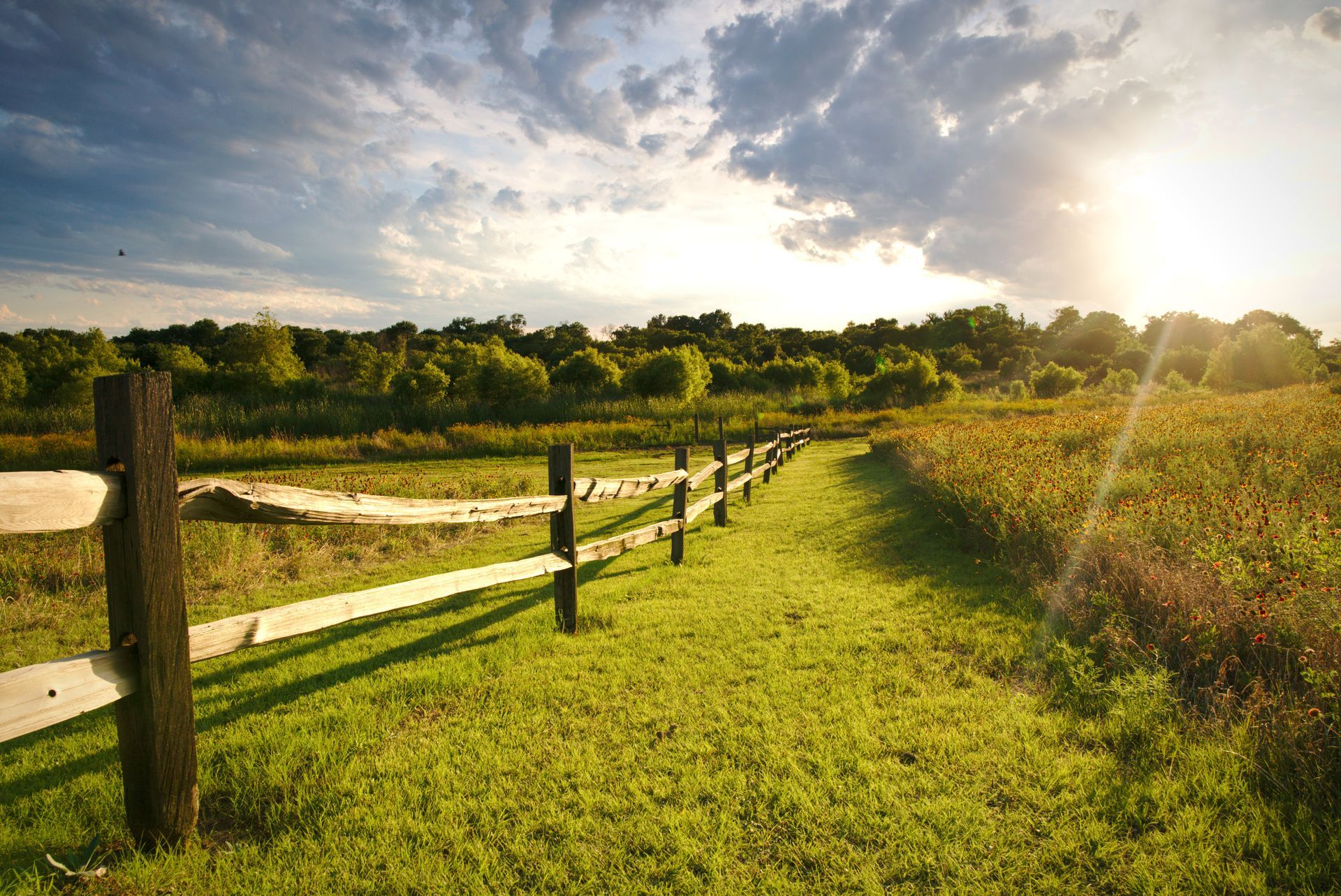 nature preserve in North Texas
